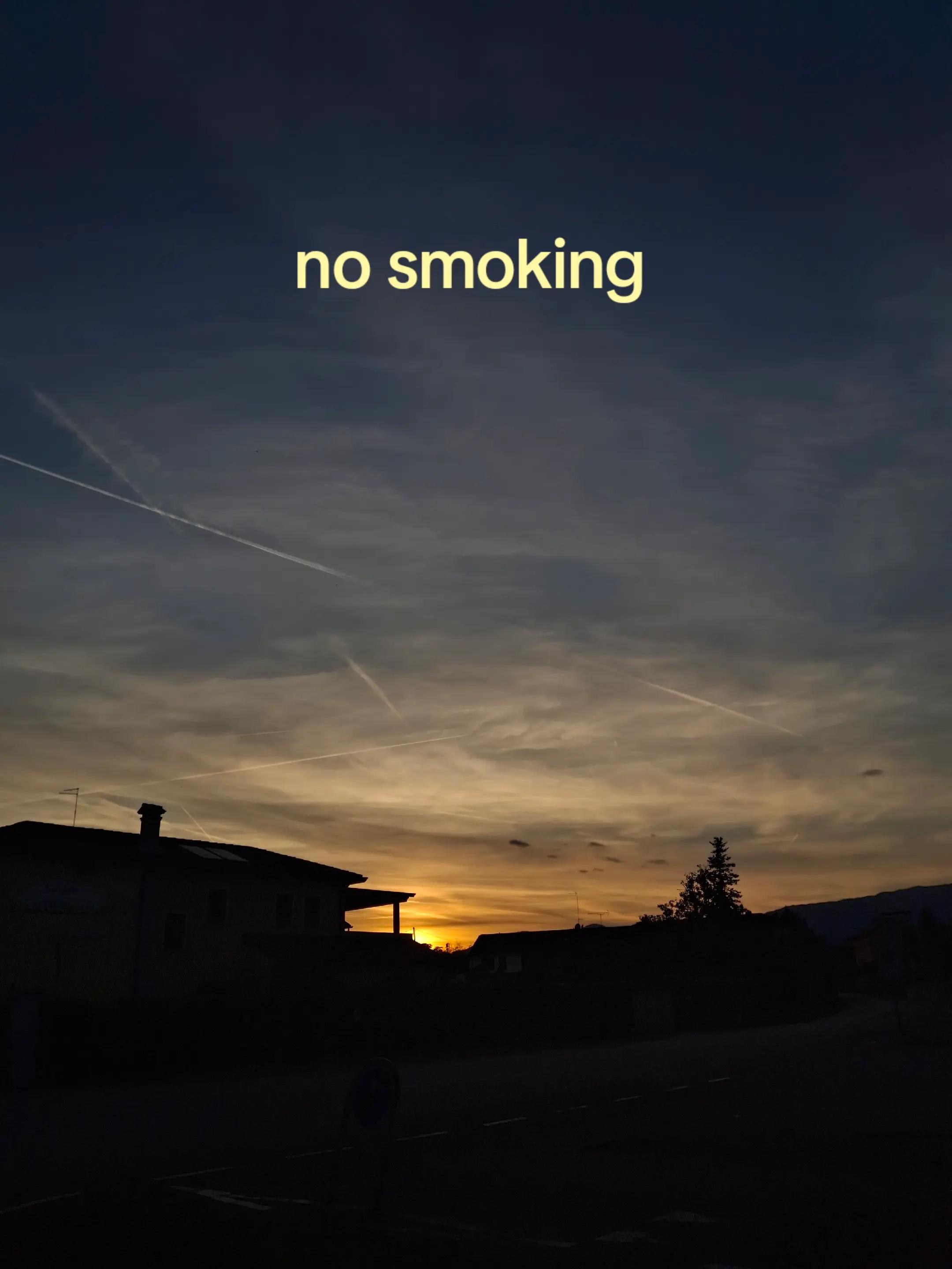 @sofia💫