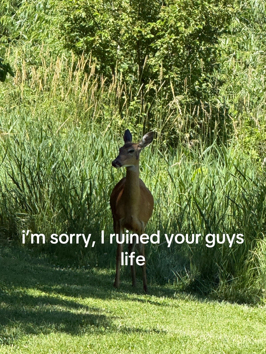 @Silent secrets