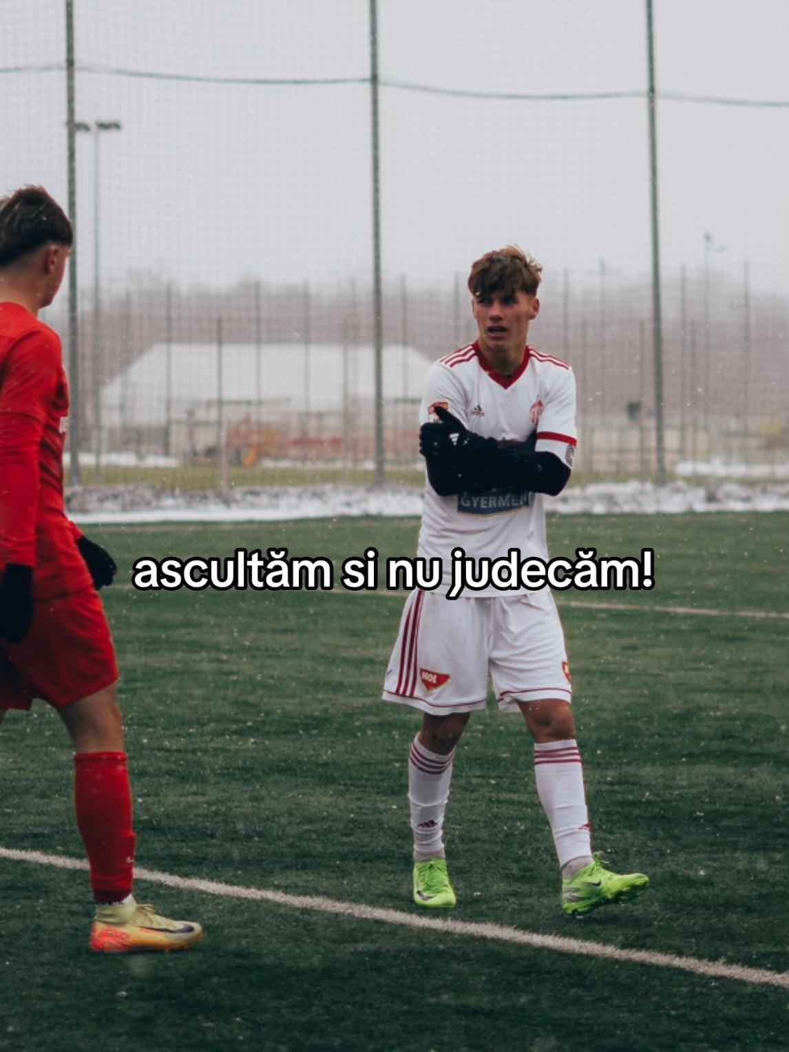 @Andrei Bodi