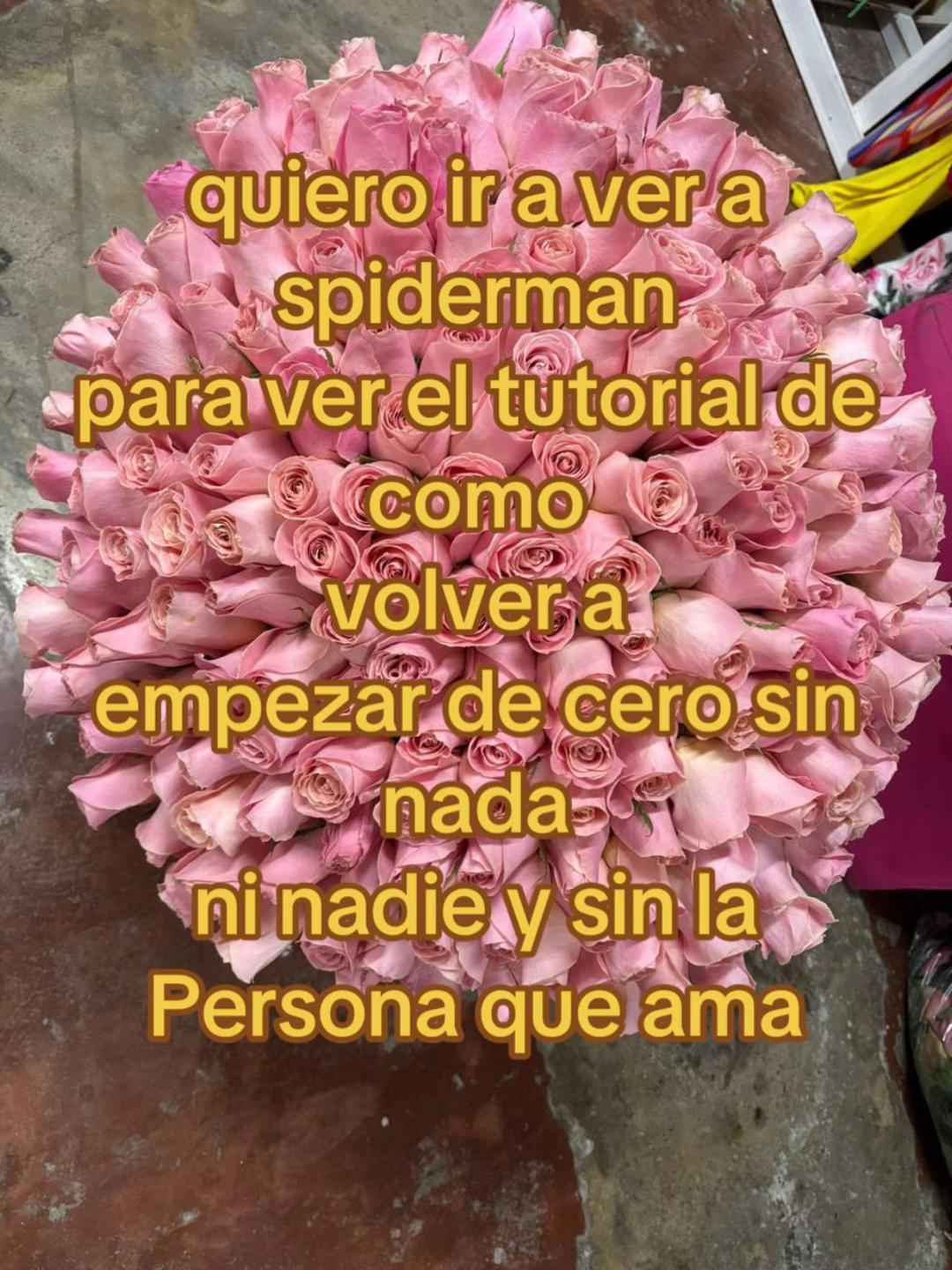 @🚩