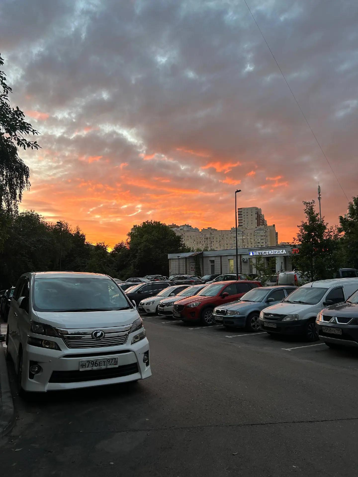 @Мицу слэй