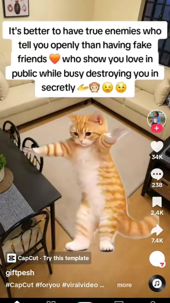 @Ramish ❤️💋🦋💵🥂💃