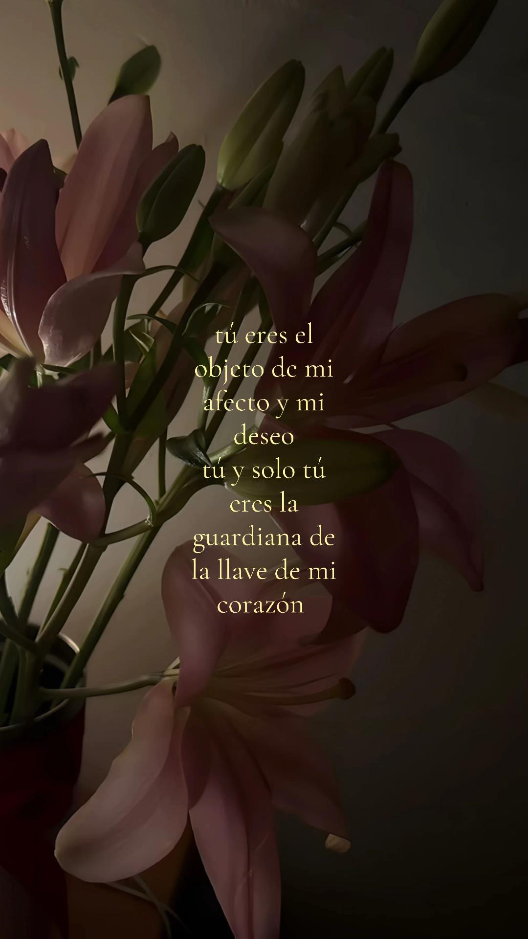 @𝓨𝓪𝓪𝓶