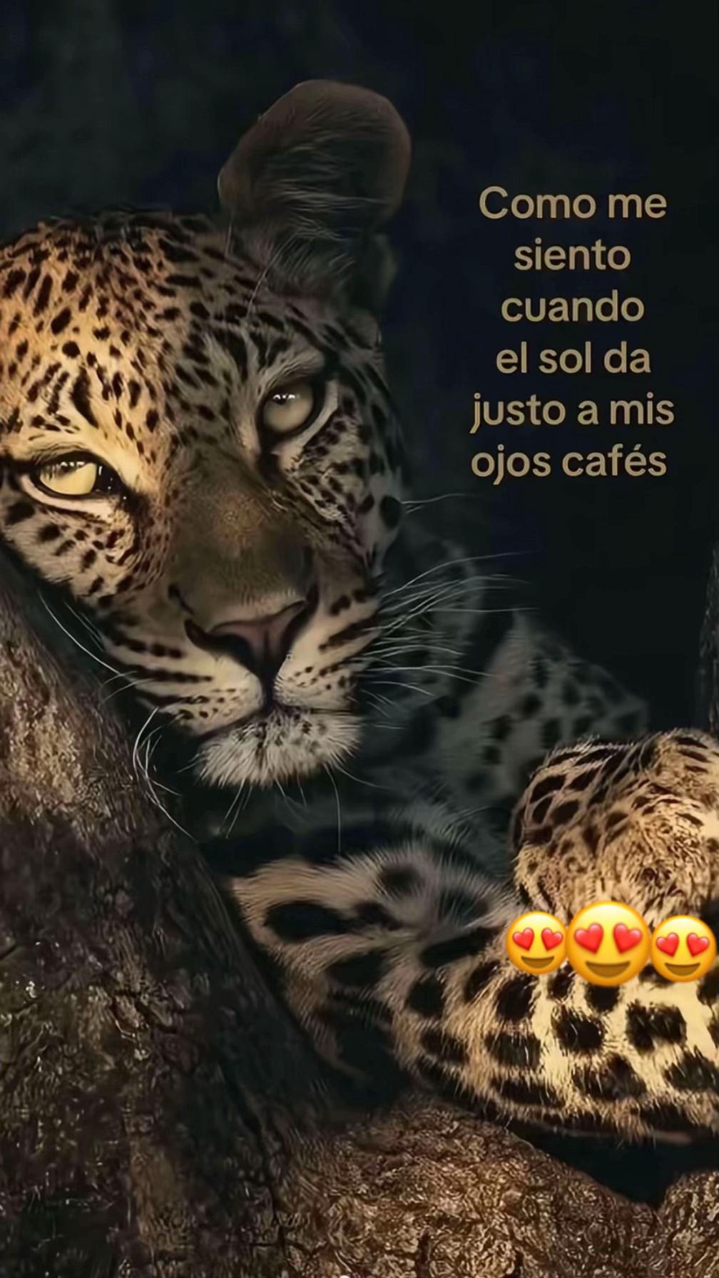 @Renuu💗
