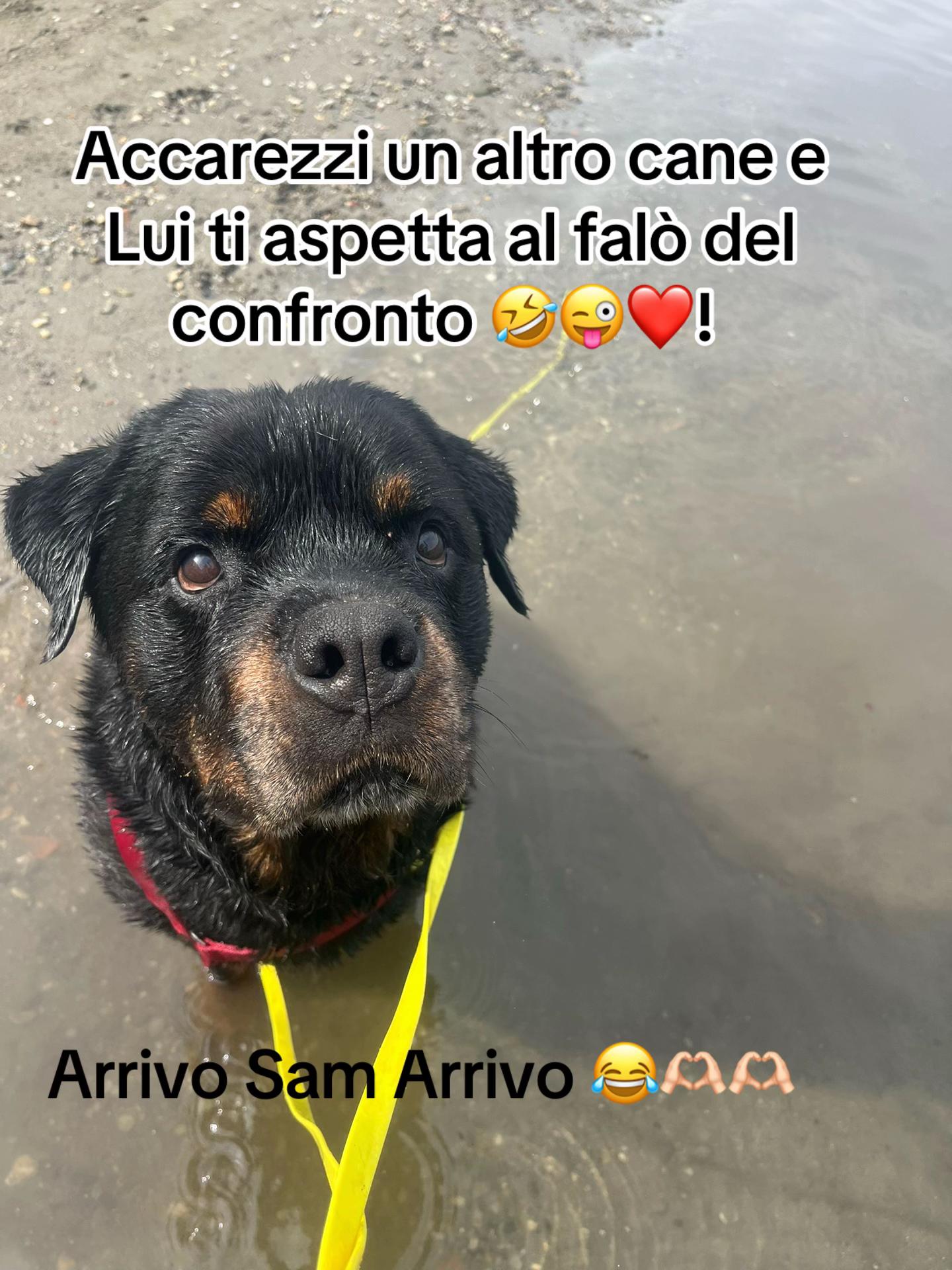 @Sara.Emy.Daisy