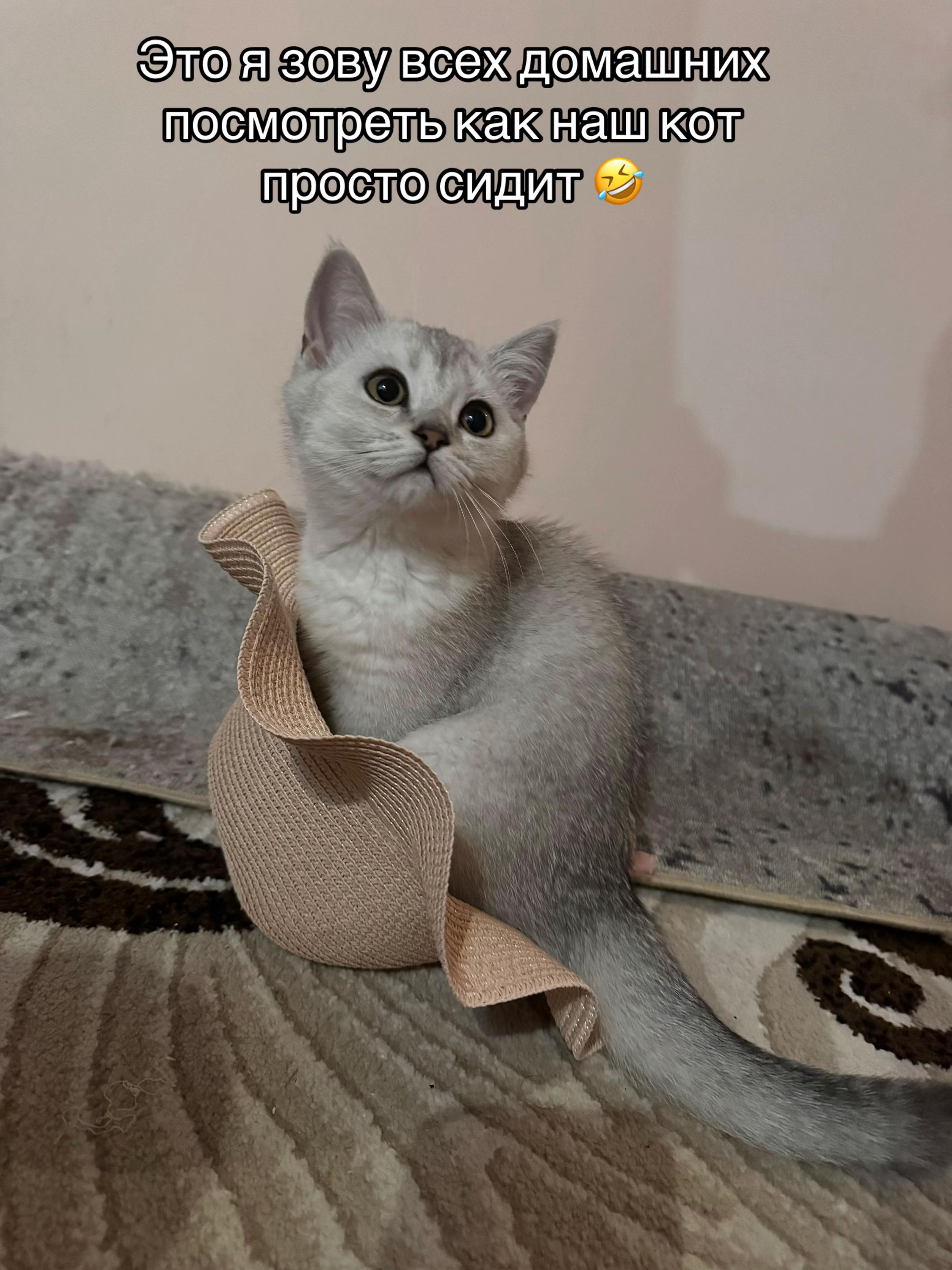 @KarolishA