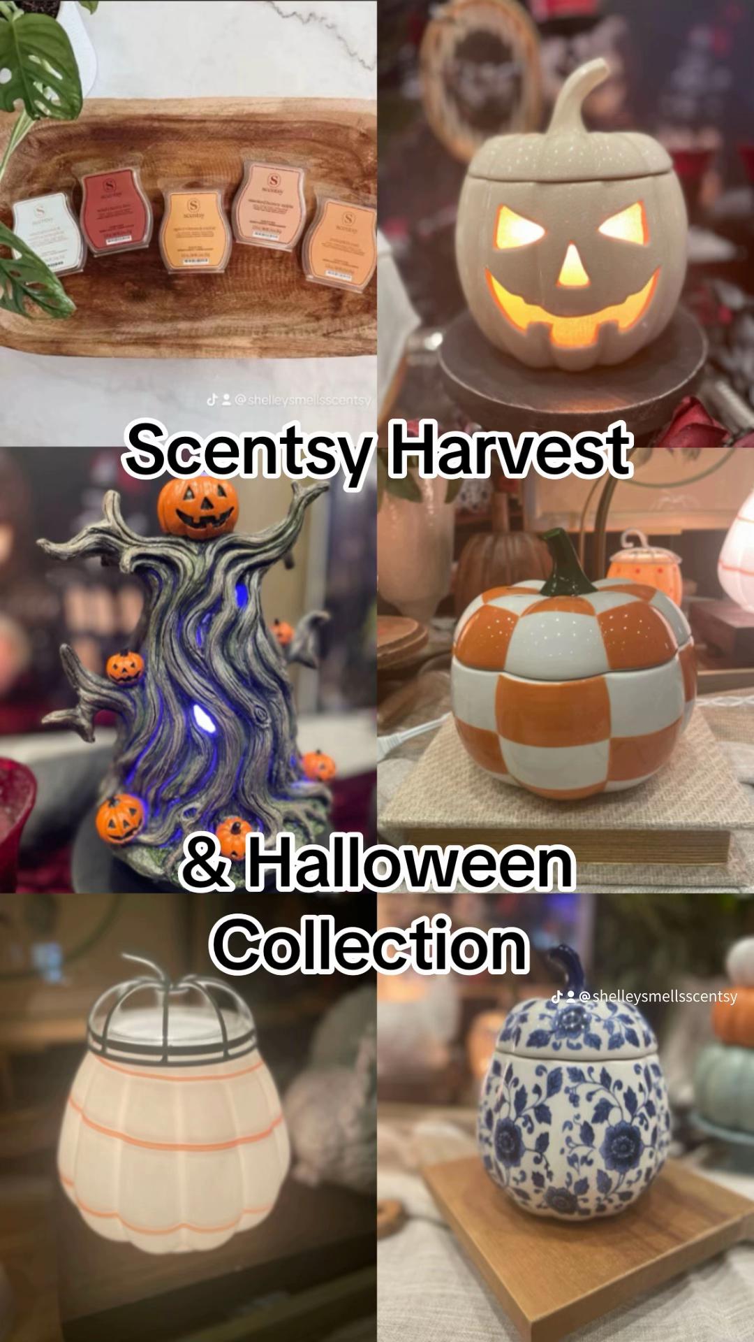 @Scentsy - Shelley Robertson
