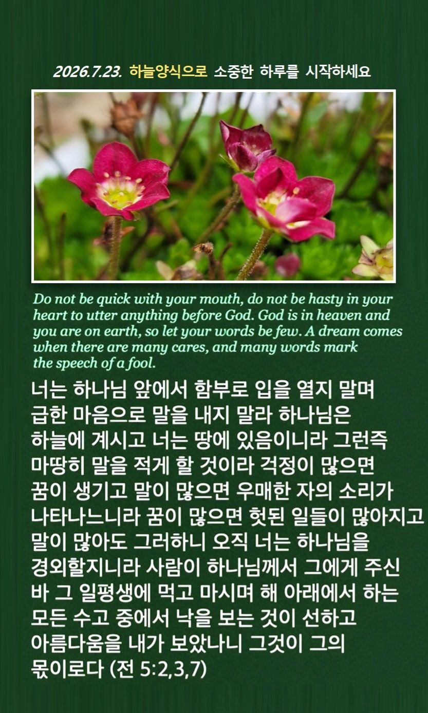 @피켓전도 김종일 목사