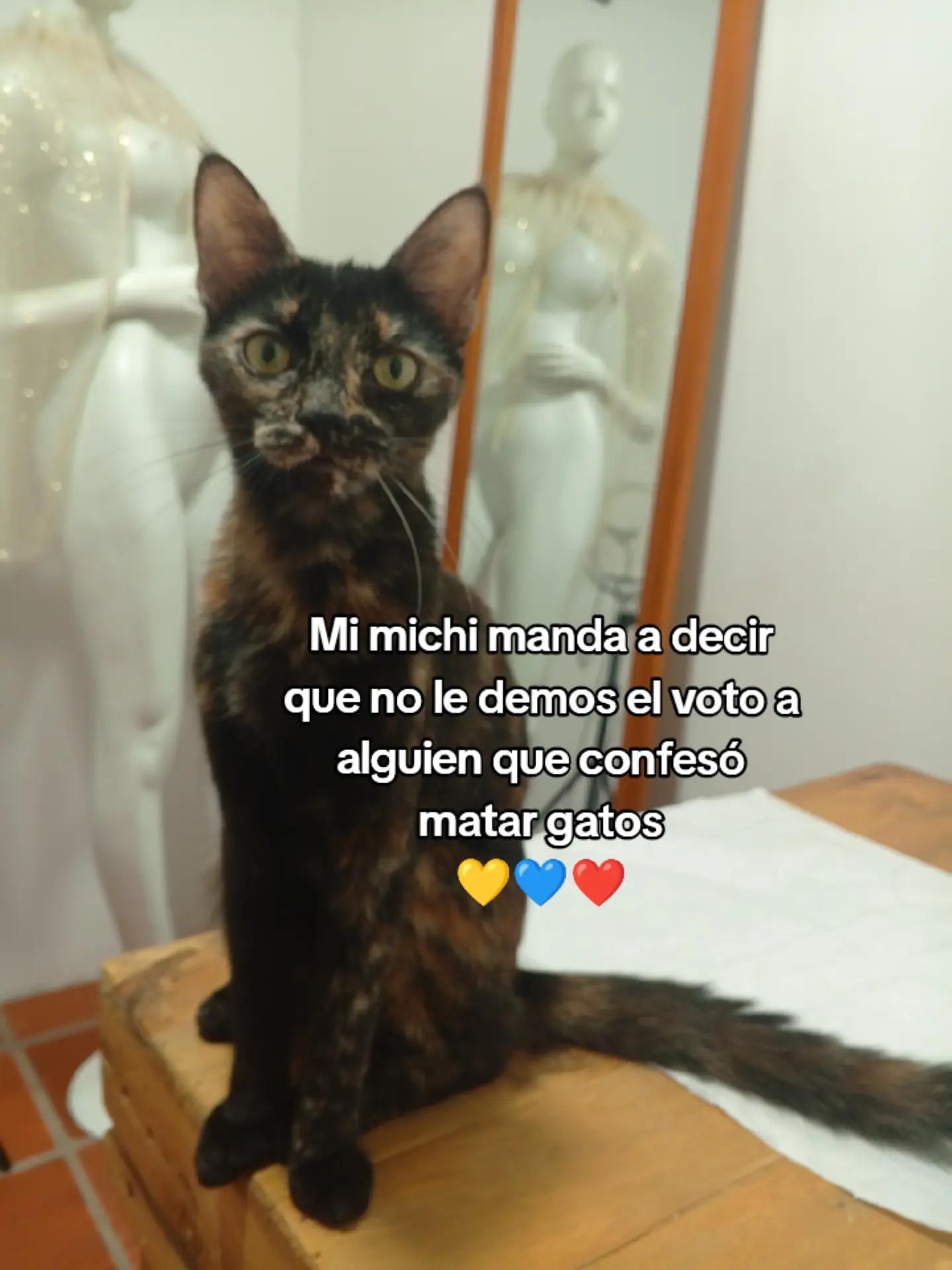 @Leidy_sabata