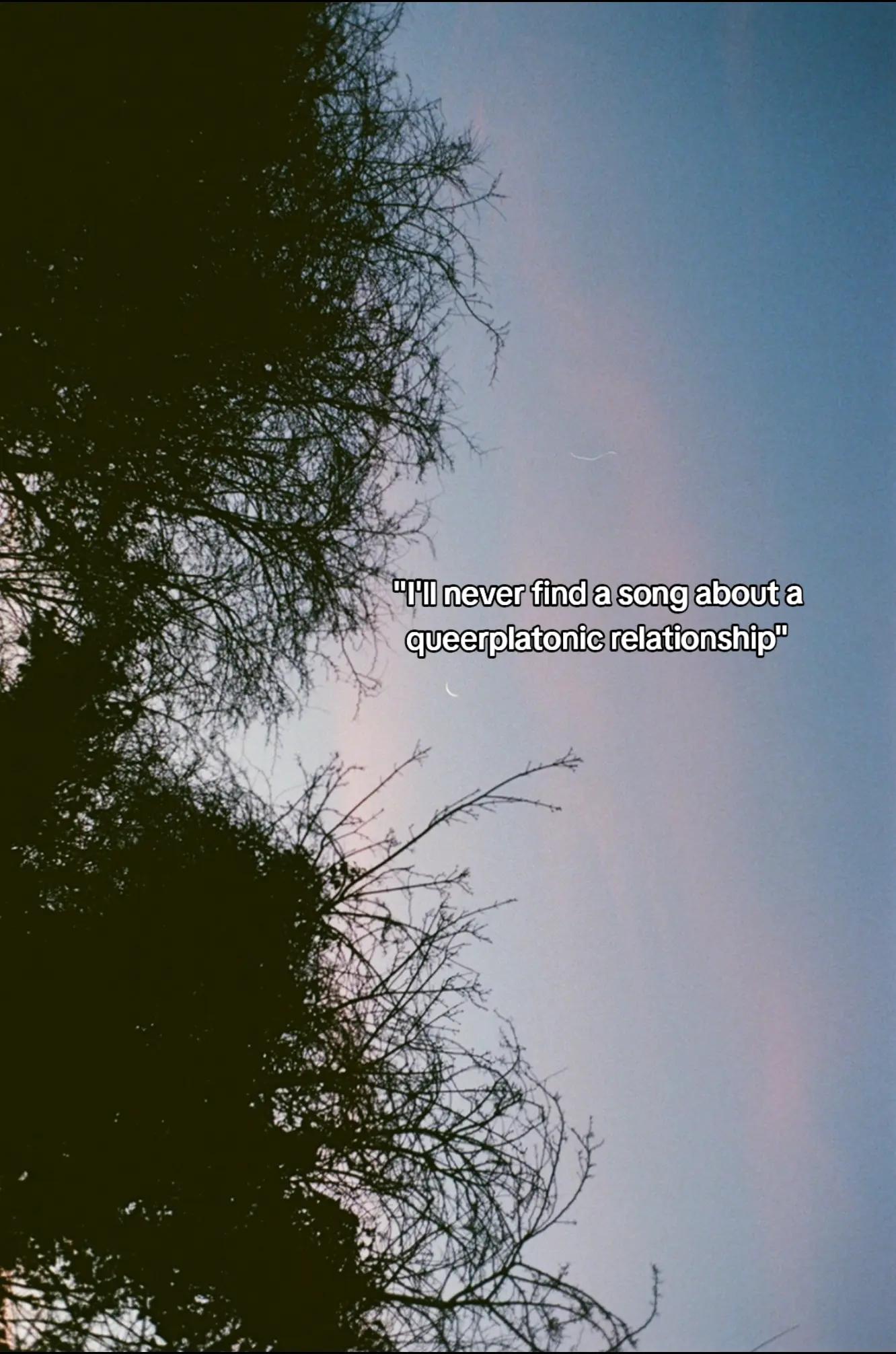 @Bears In Trees