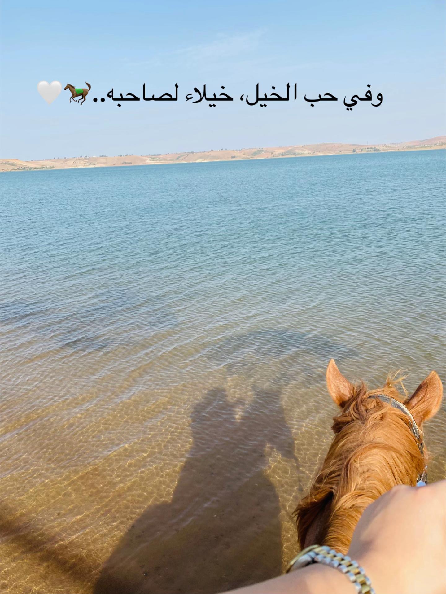 @n.houda Zniber