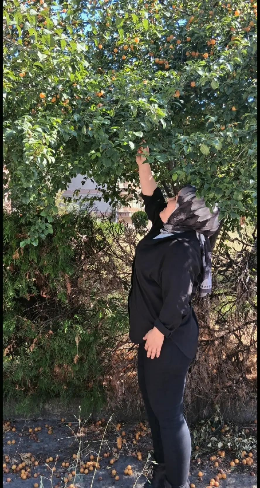 @🍂🌹