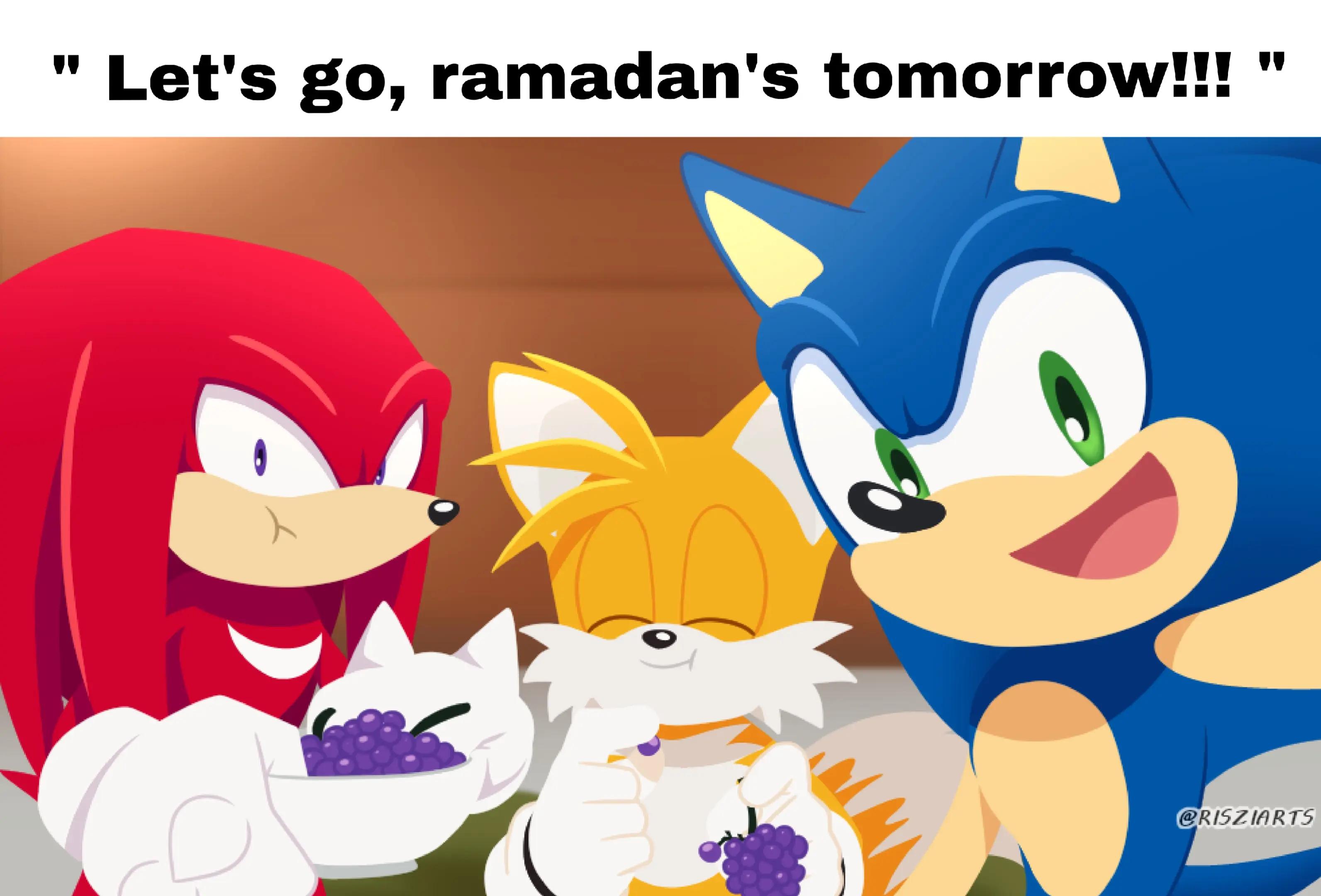 @🇹🇳HyperSonicEnthusiast🇹🇳