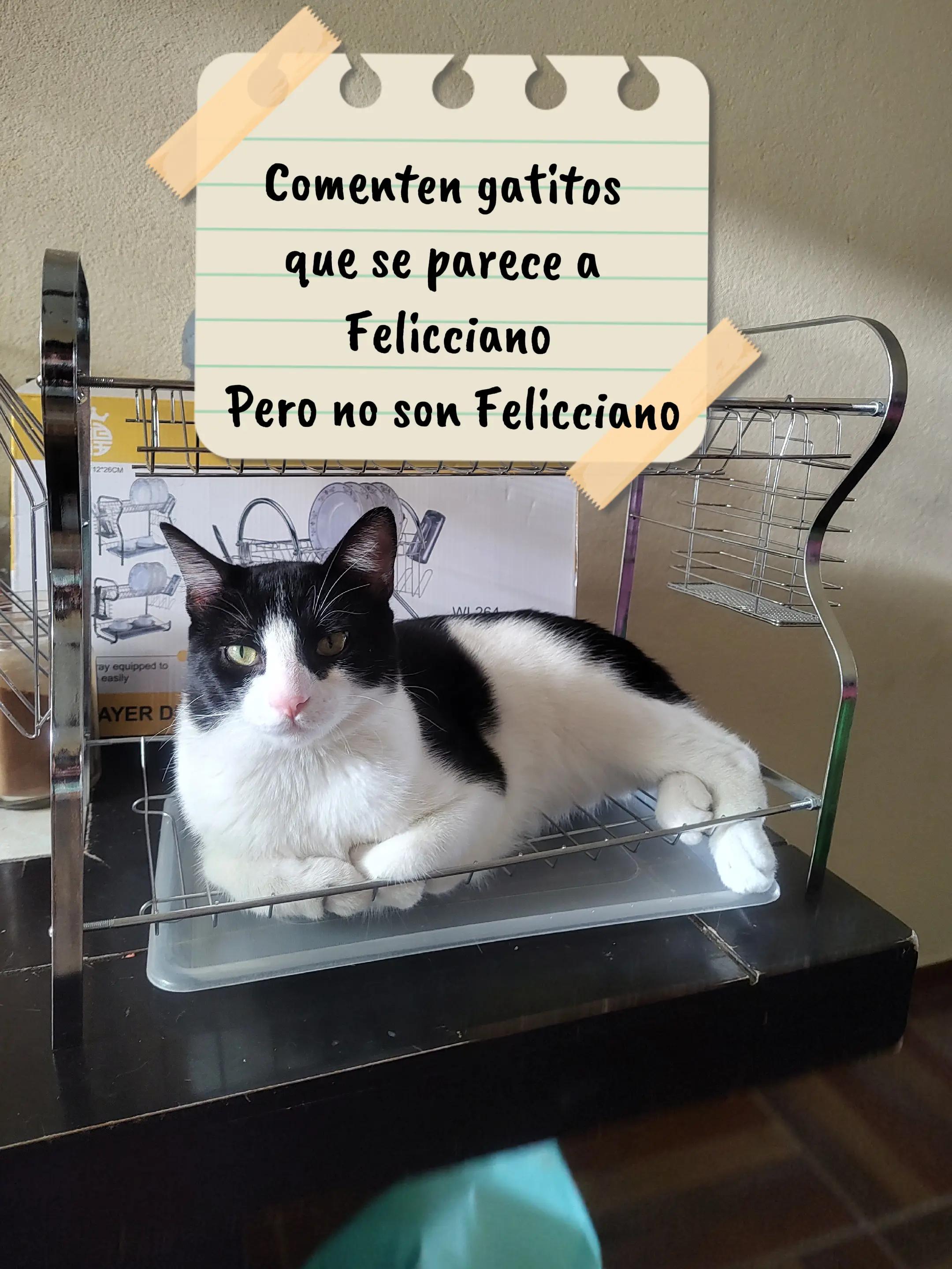 @marianita emprendedora