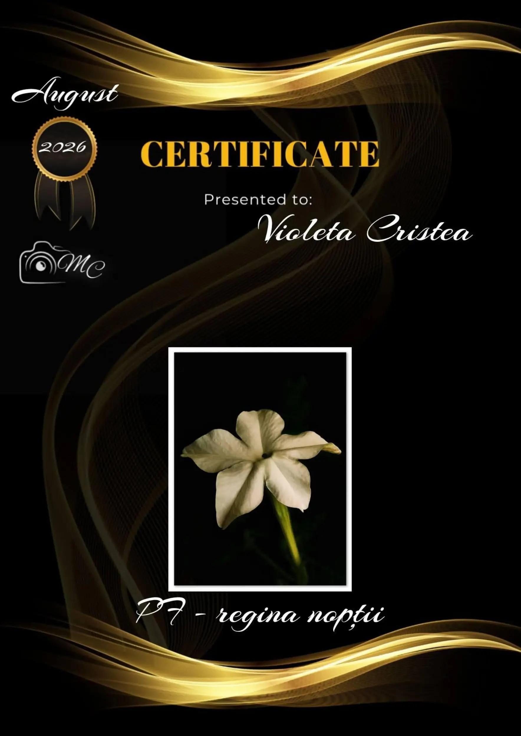 @Violeta Cristea500