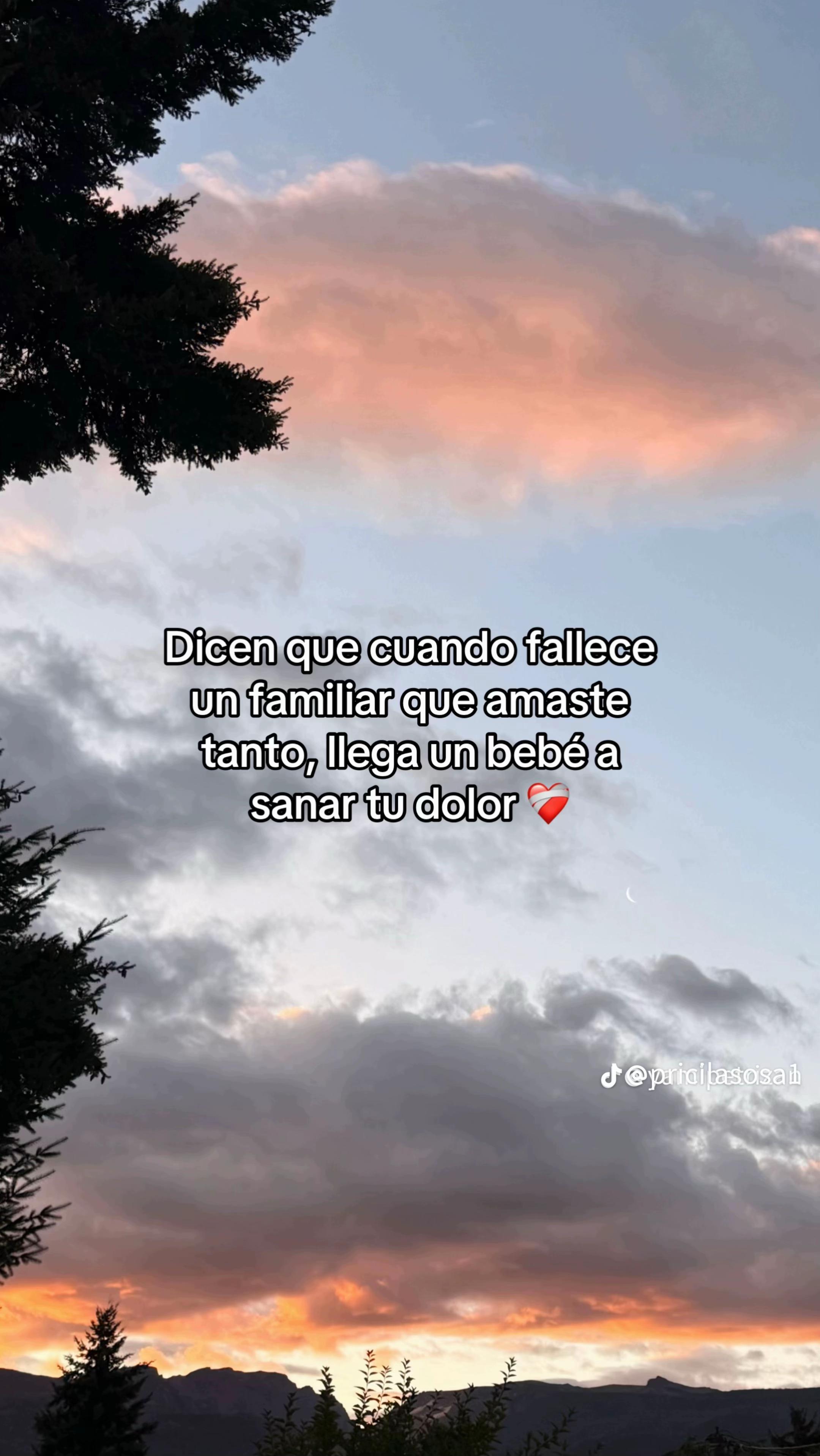 @orneecesar