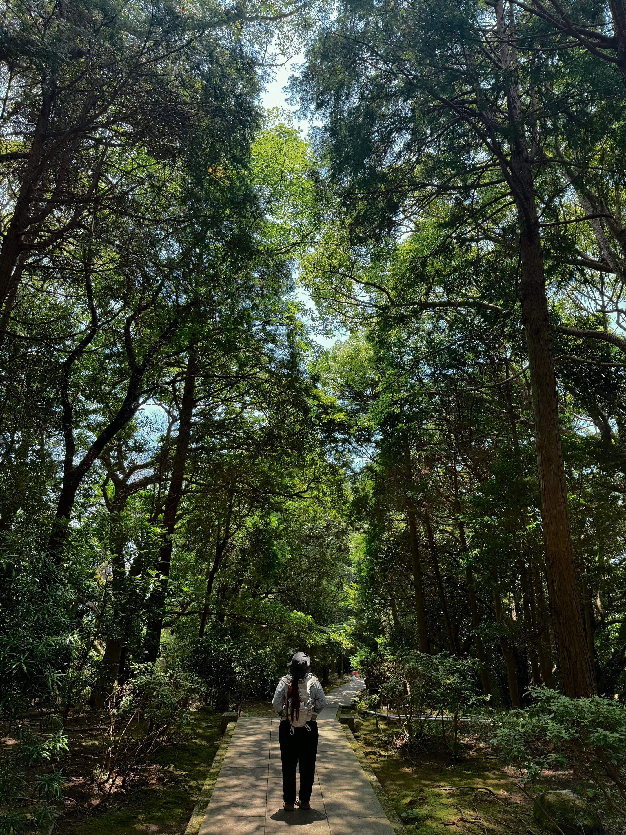 @judithtabale🇵🇭🇯🇵