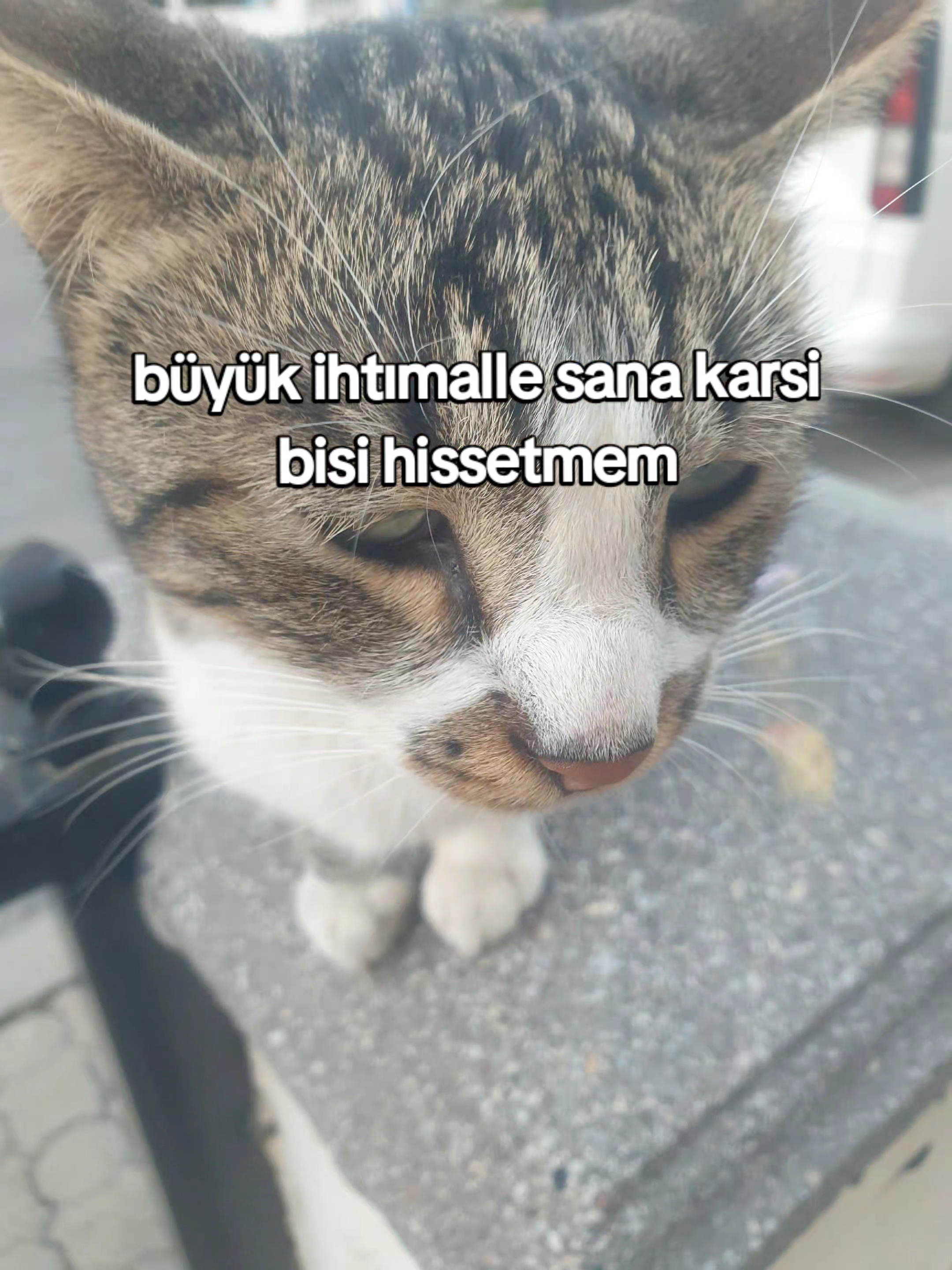 @zeehhhhraaaaaaaaa
