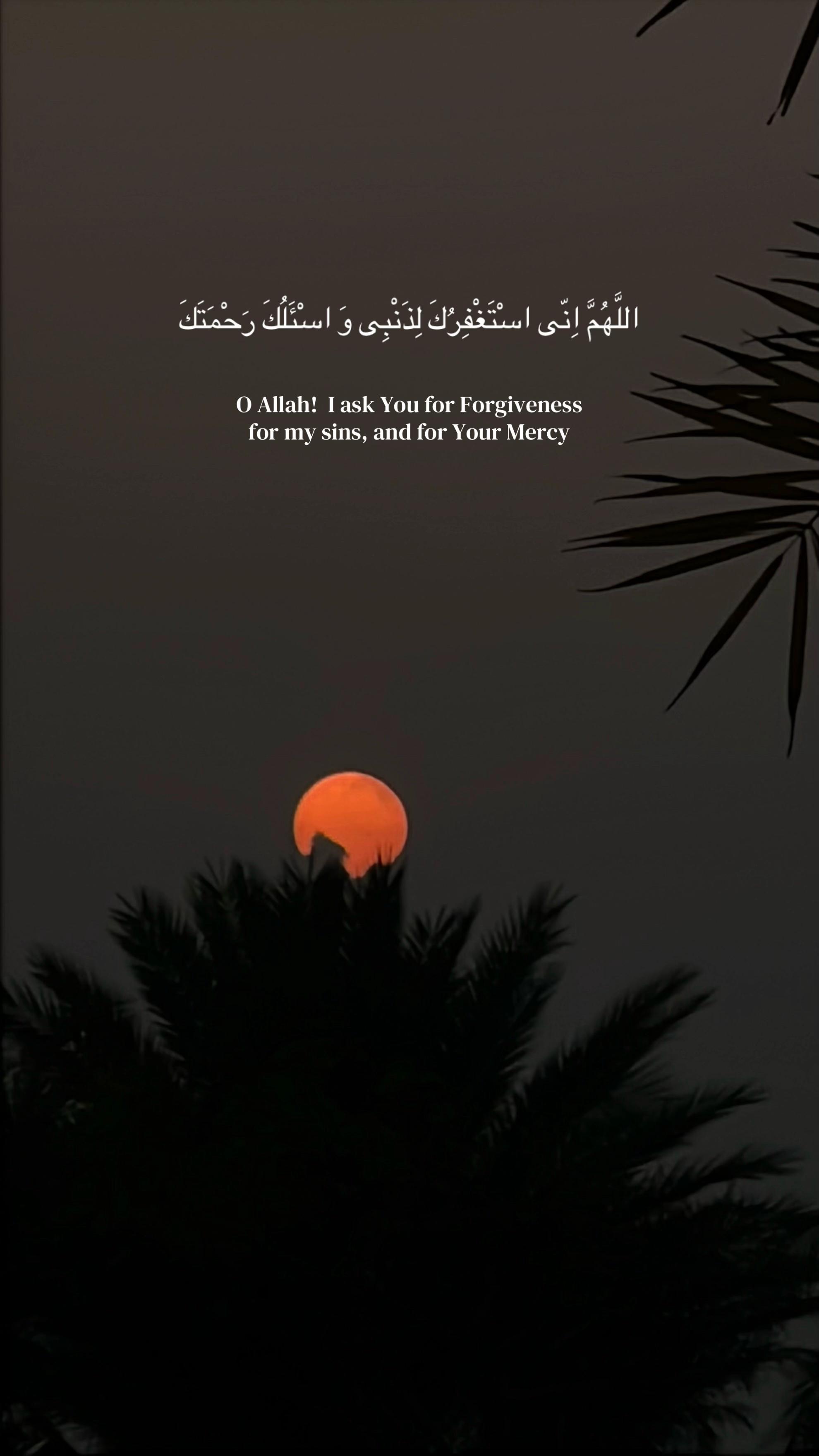 @احمد
