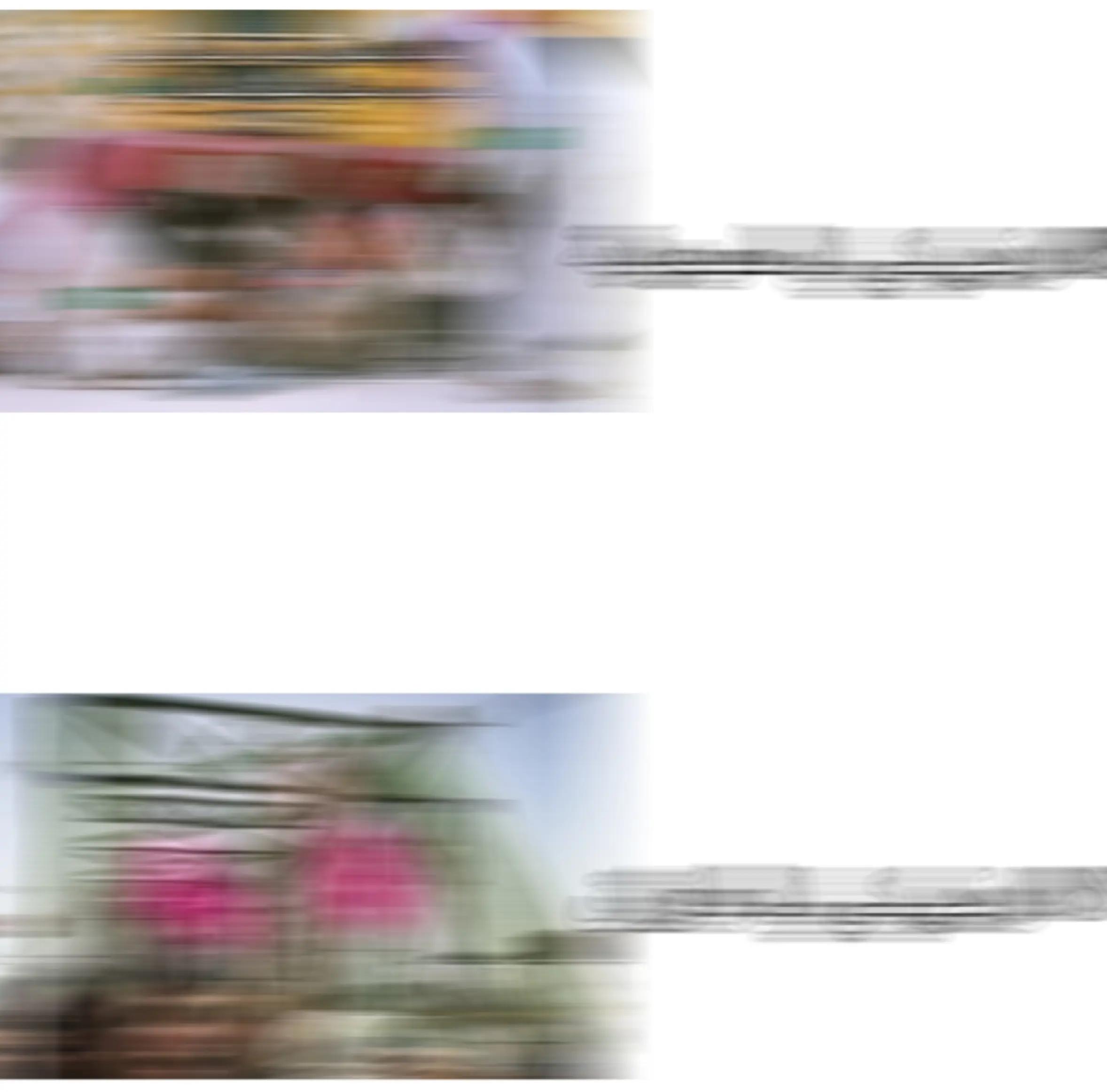 @𖦏skud𖦏