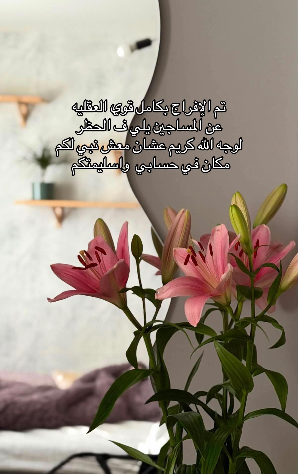 @راء💎🦌