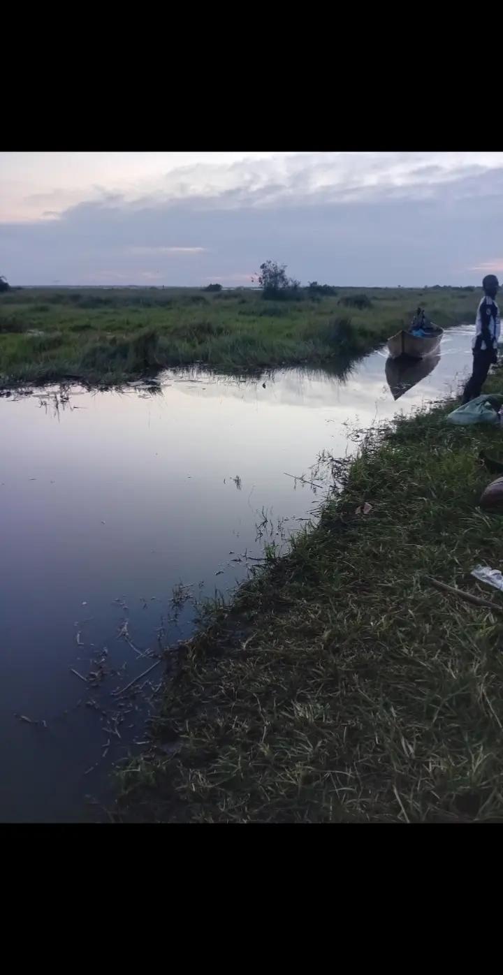 @josila