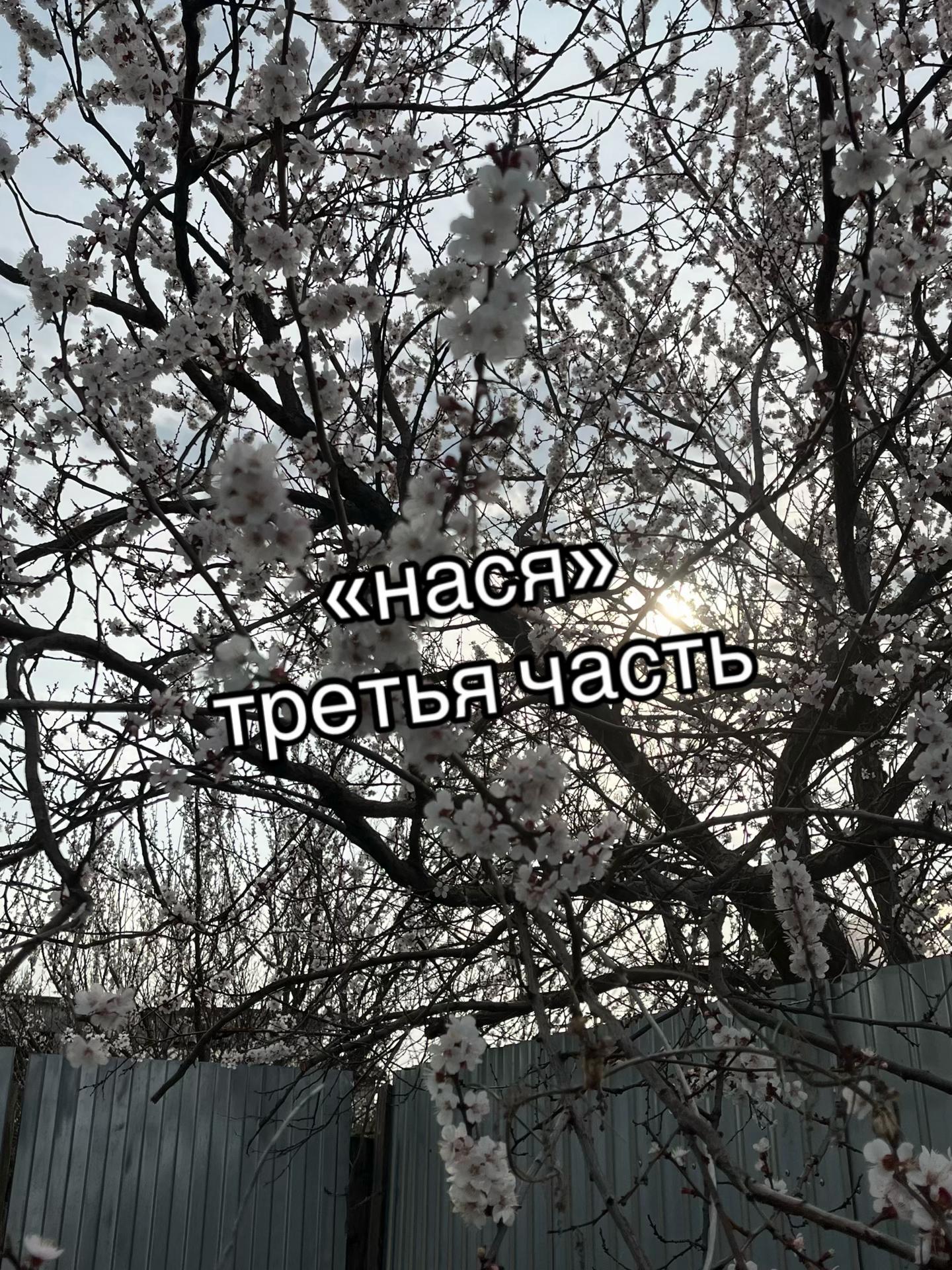 @stepm00m