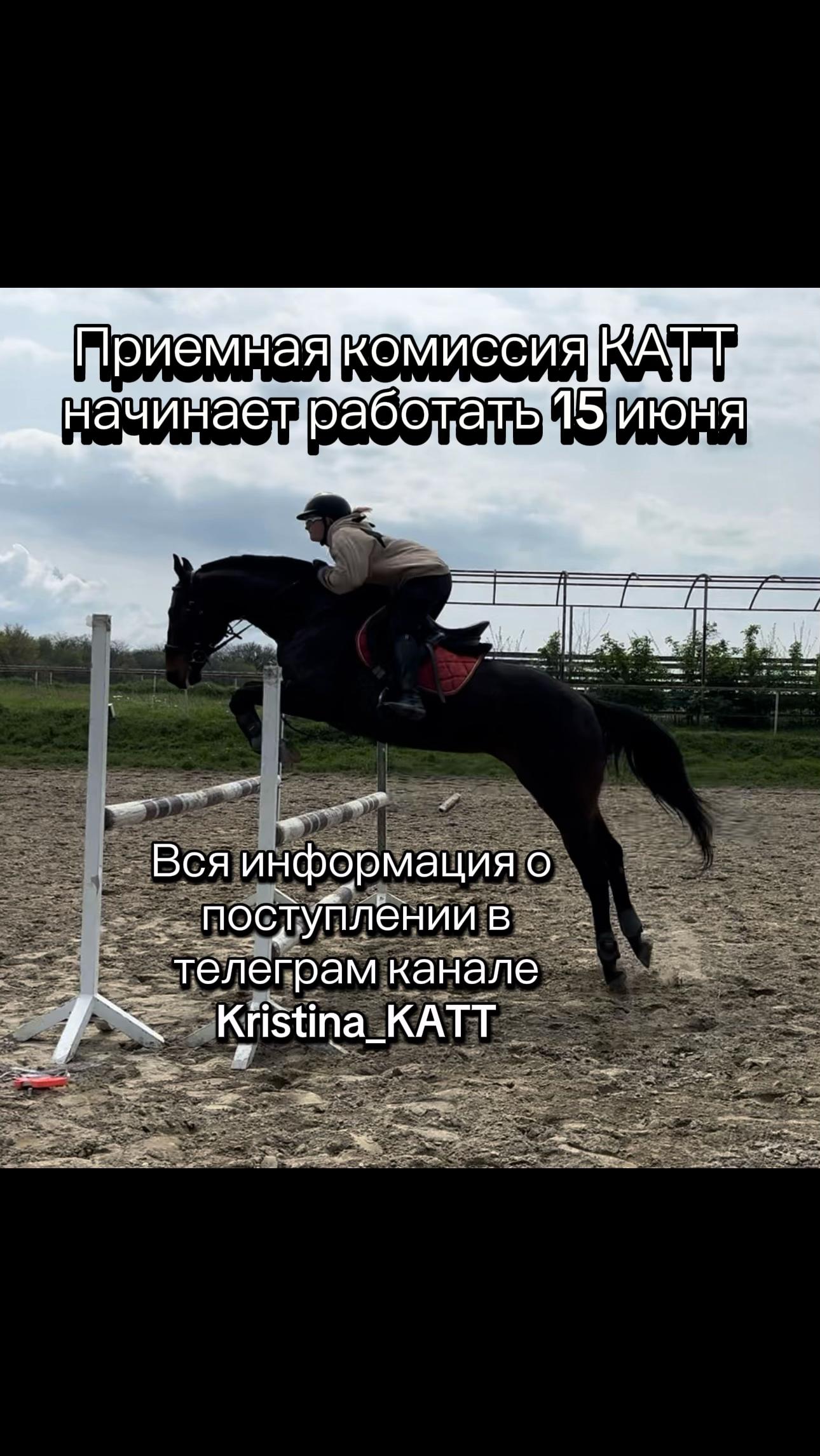 @ТГК Kristina_KATT
