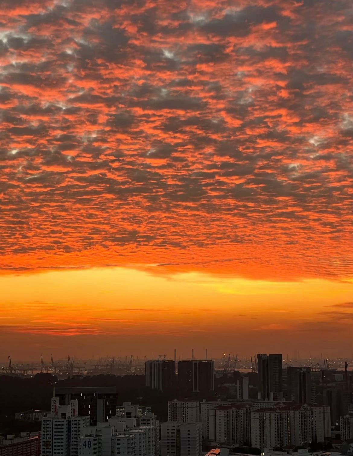 @張張