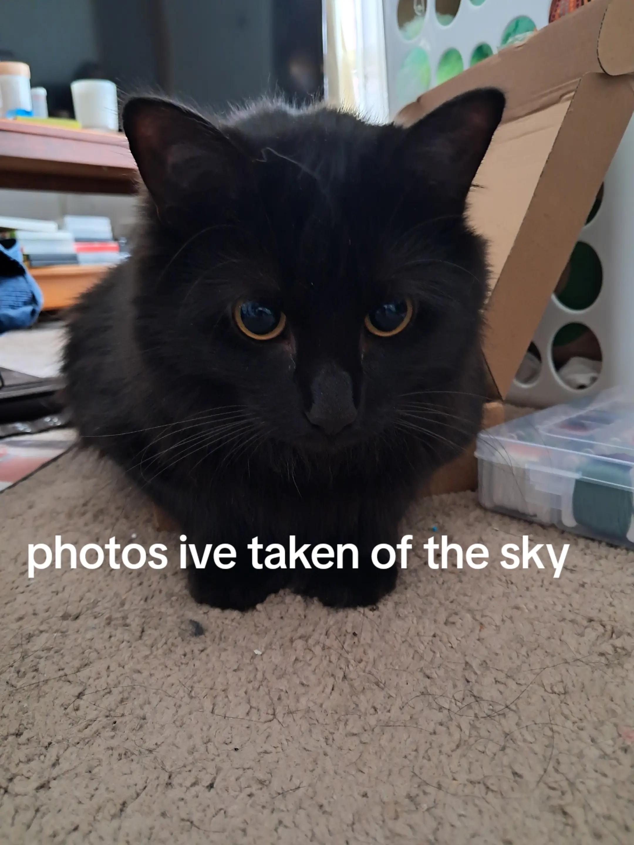 @𝓴𝓪𝓲.𝓒𝓱𝓪𝓻𝓵𝓸𝓽𝓽𝓮