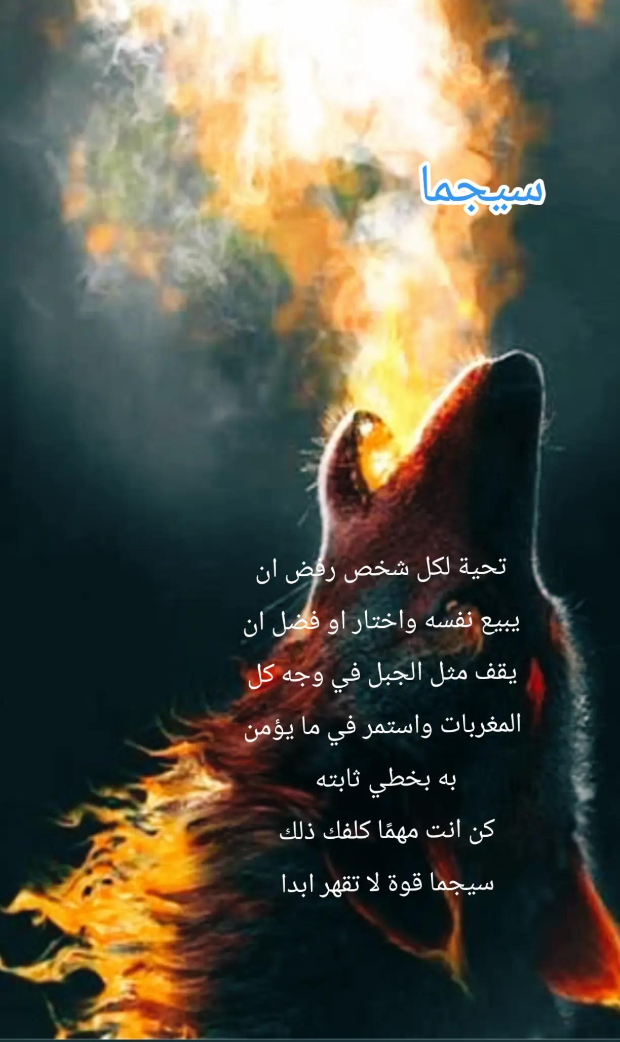 @امير الحازمي