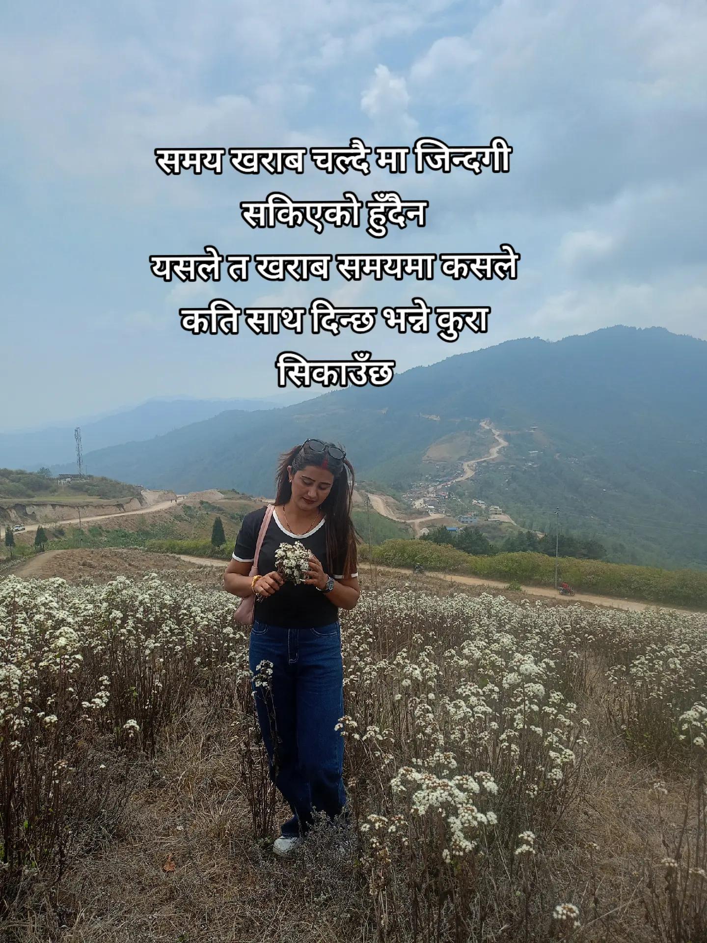 @Saru Chauhan503