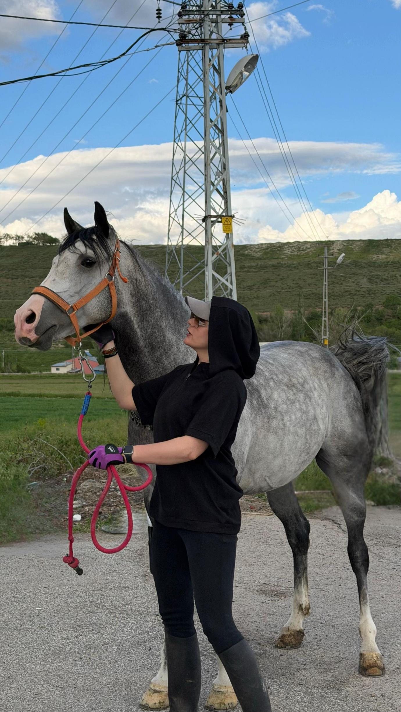 @HarzemŞah