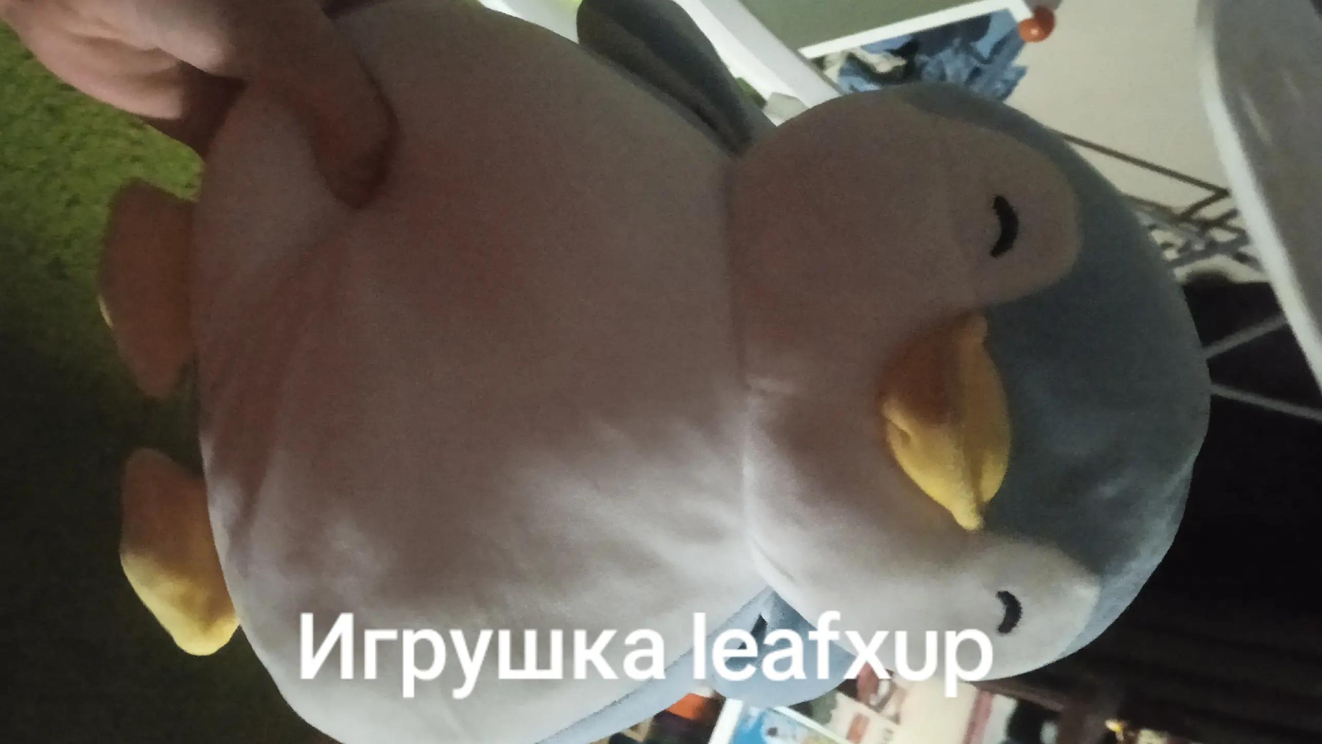 @n0∆1