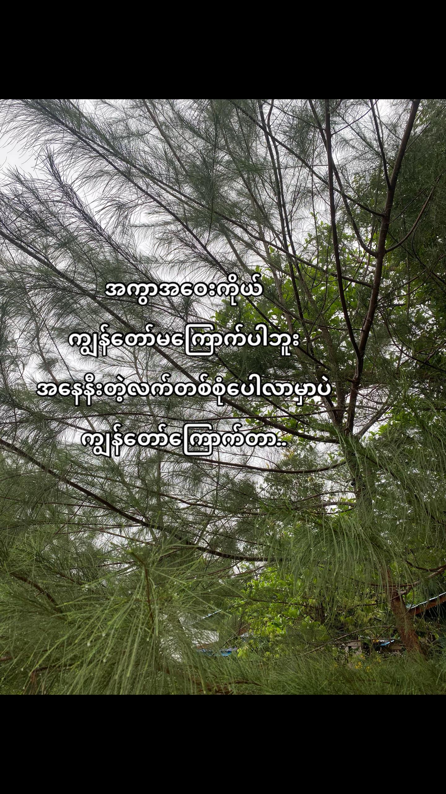 @မောင်ခန့်🦫⚡️