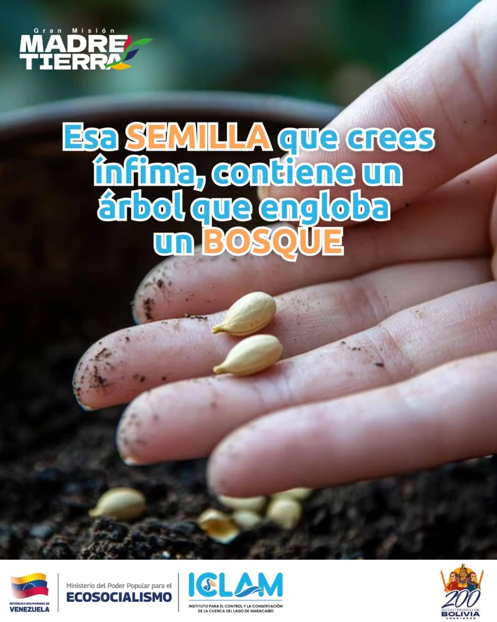 @iclam_ve