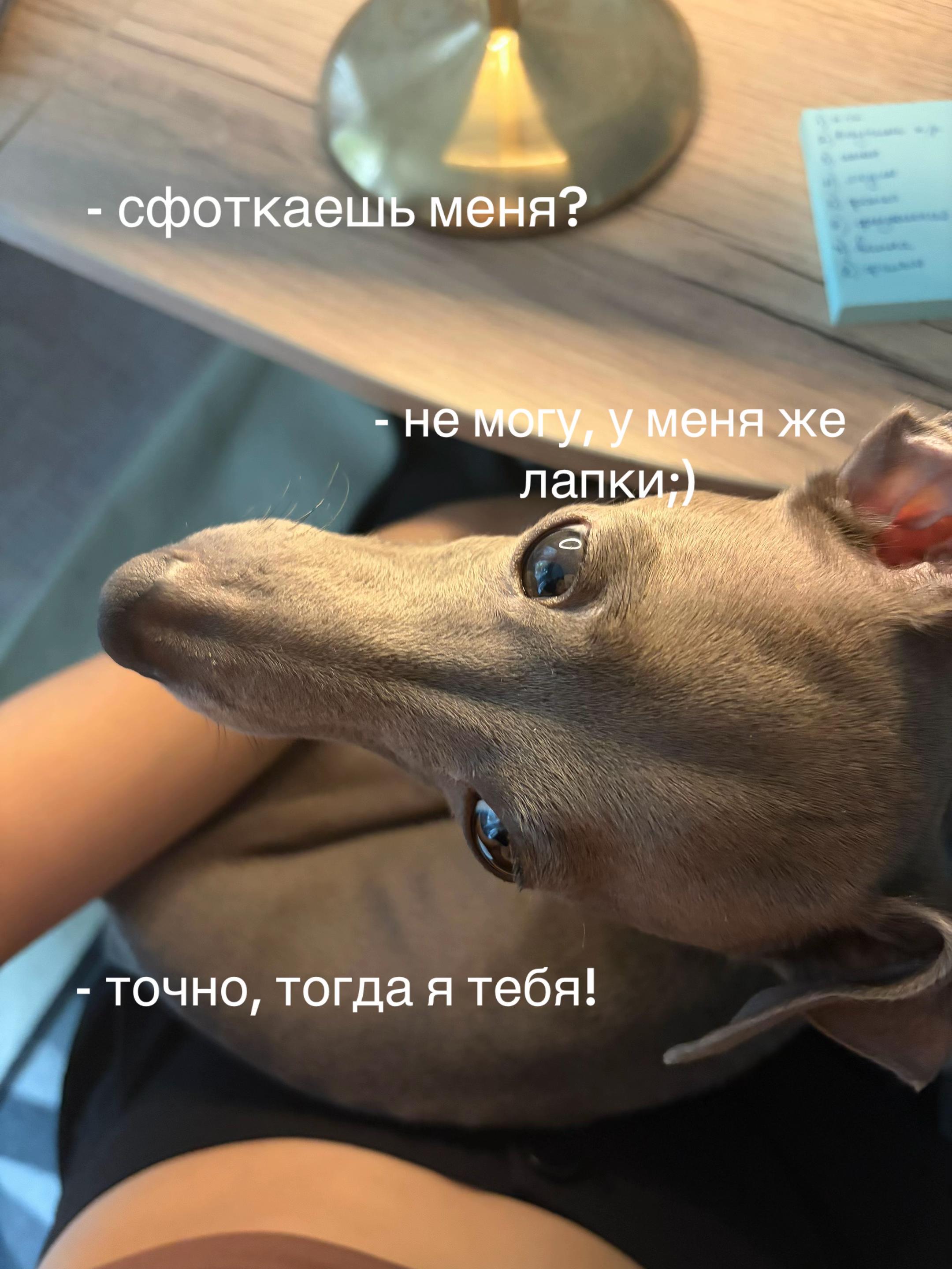 @лллбоб