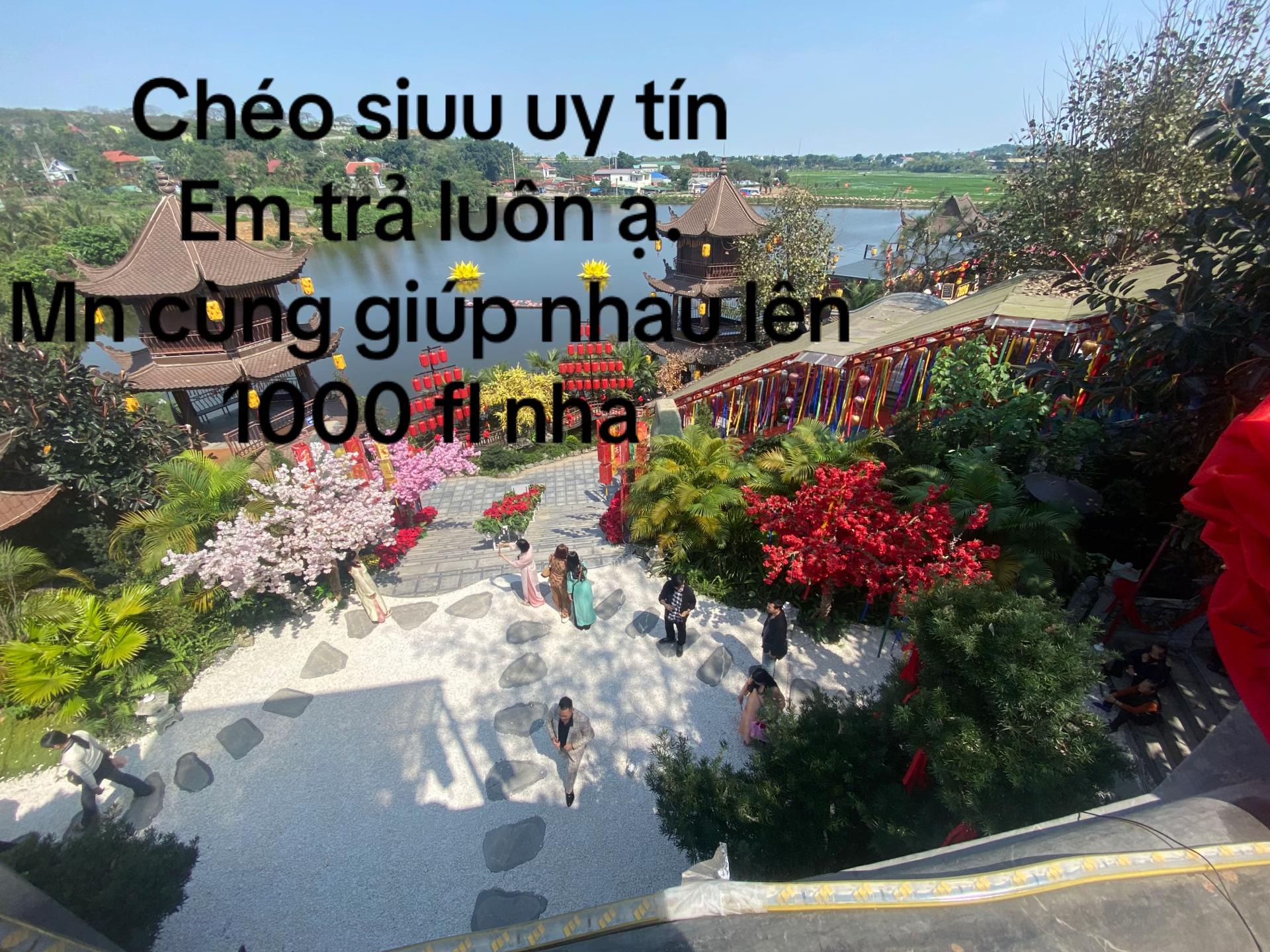 @user12385774201