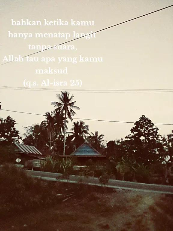 @isbel