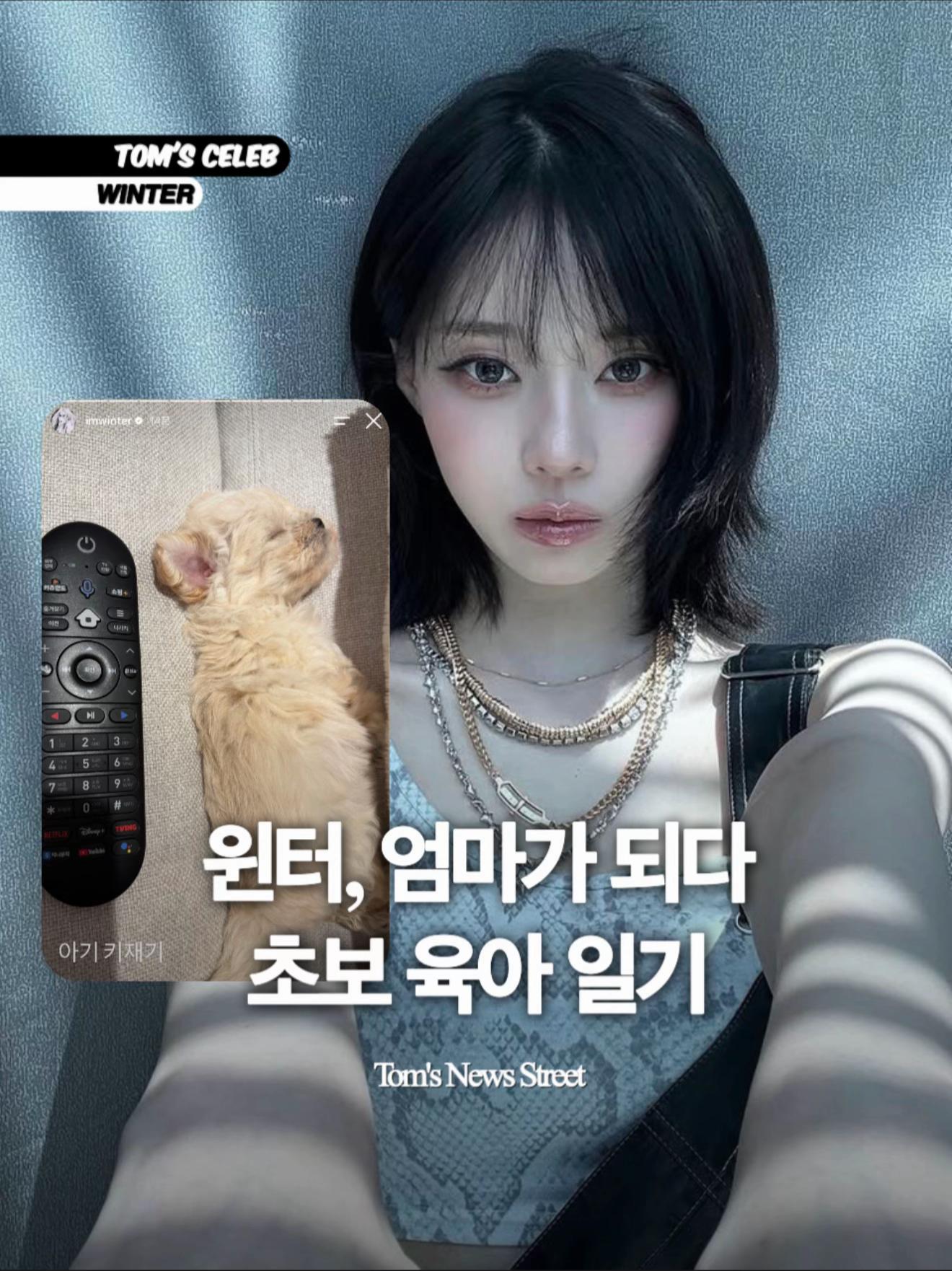 @톰뉴스