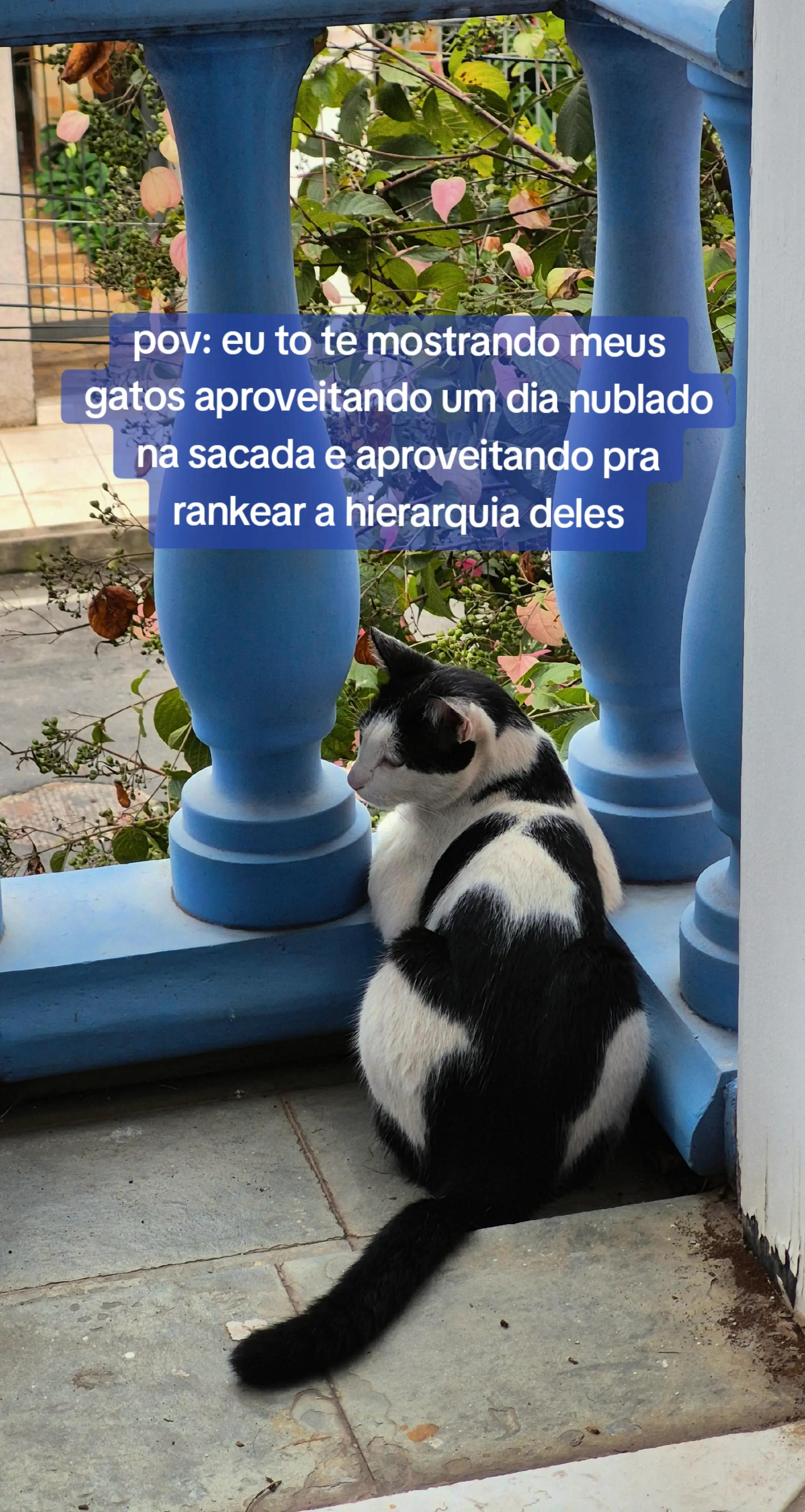 @Laura Reggiani