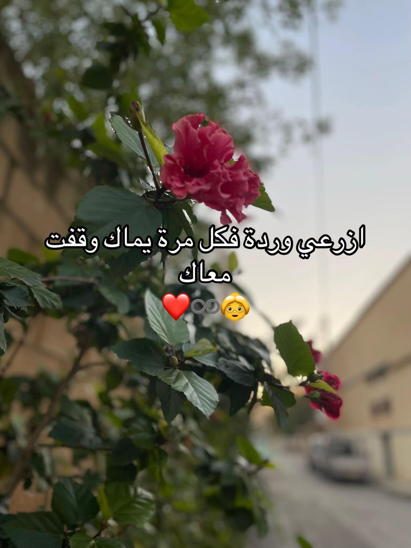@Rawdhaaa