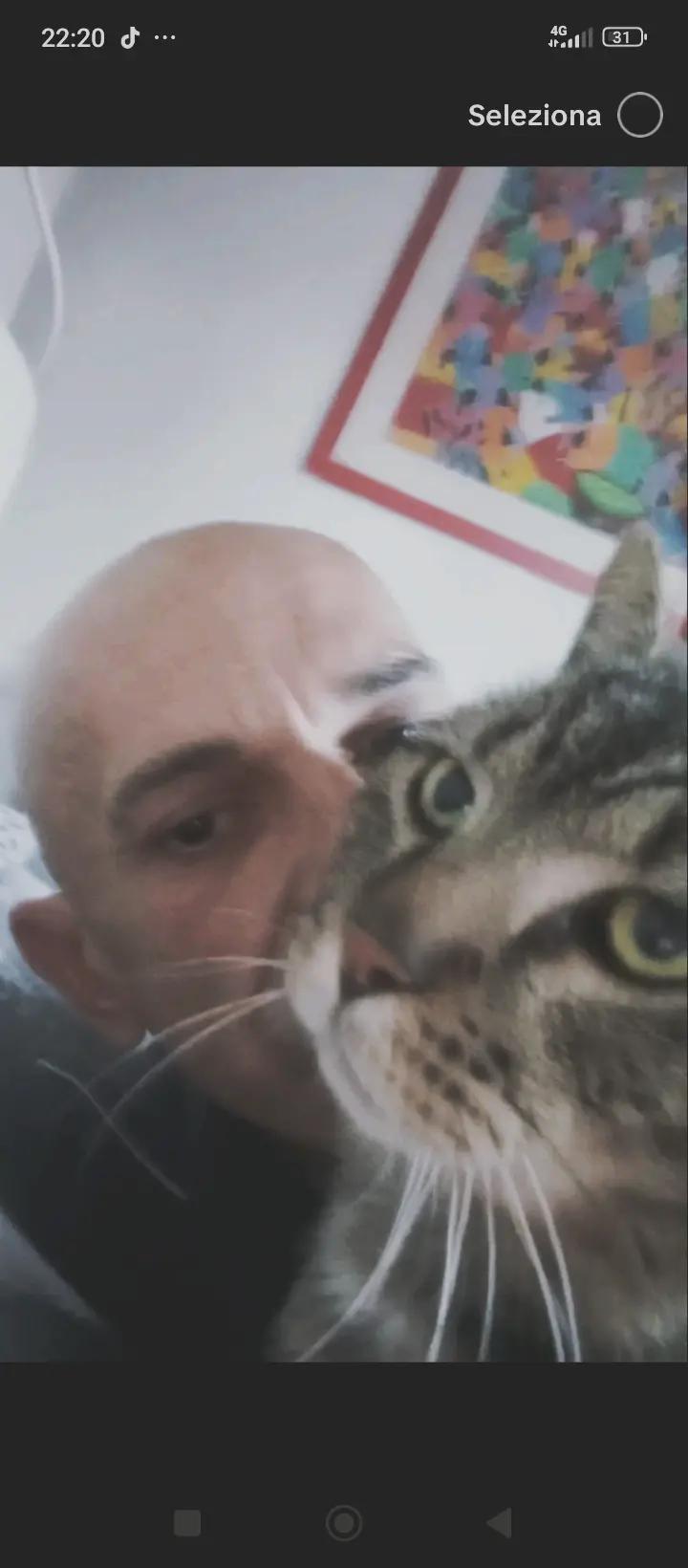 @RAP CAT