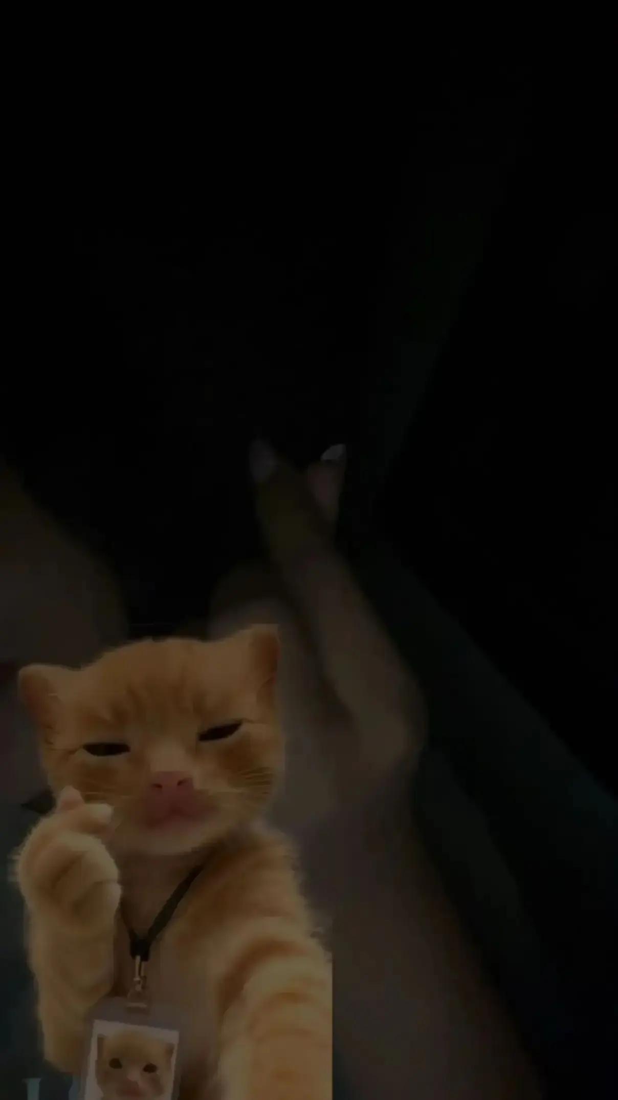 @️𝒜𝓂𝒷𝒶𝓇ᥫ᭡.