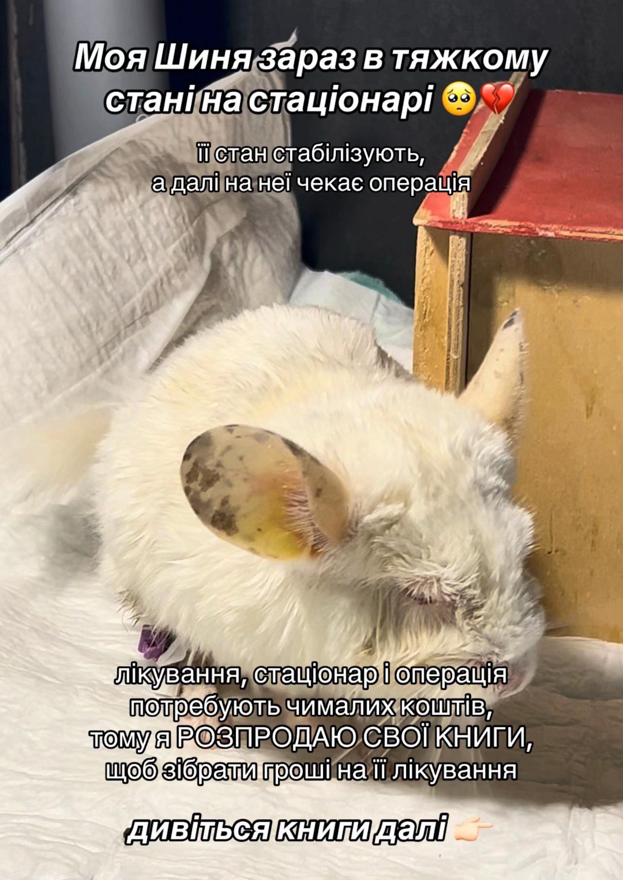 @ВіКЕНТіЯ ЧИТАЄ 📚🐒