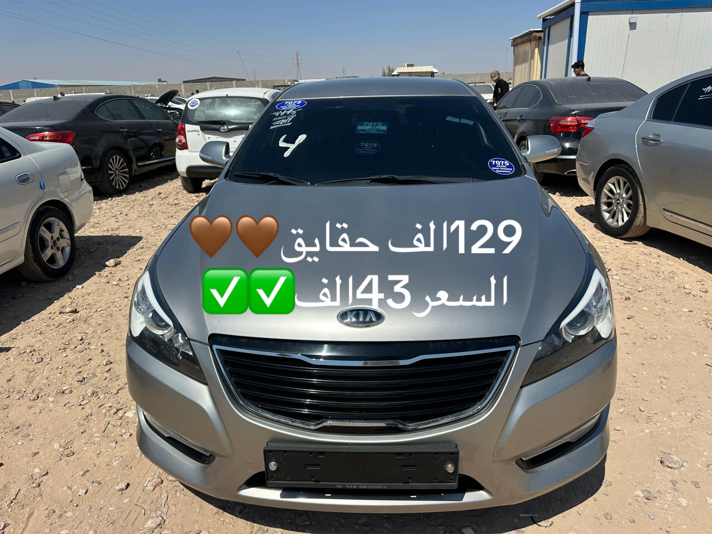 @امين جنزور
