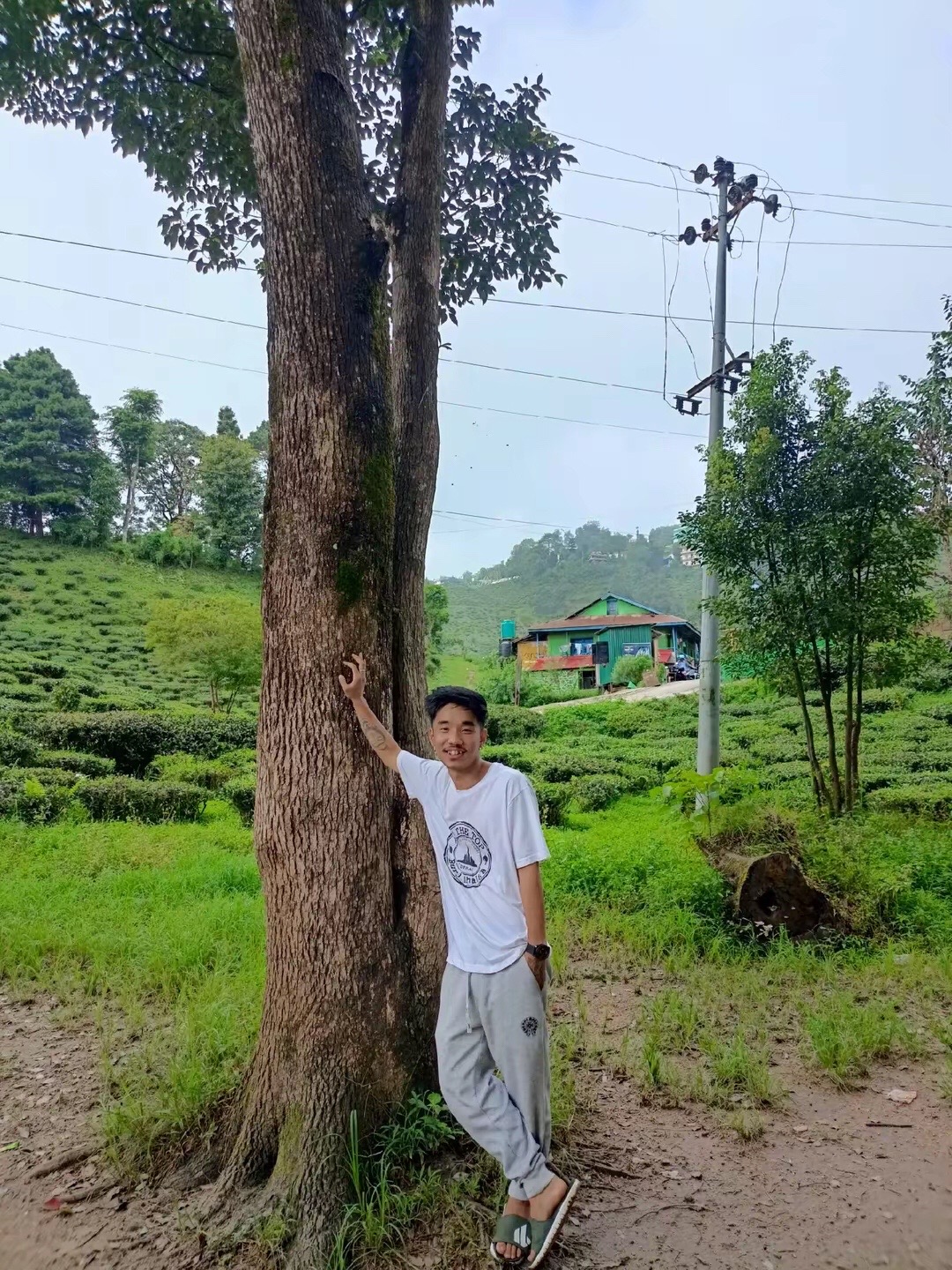 @chemjung 