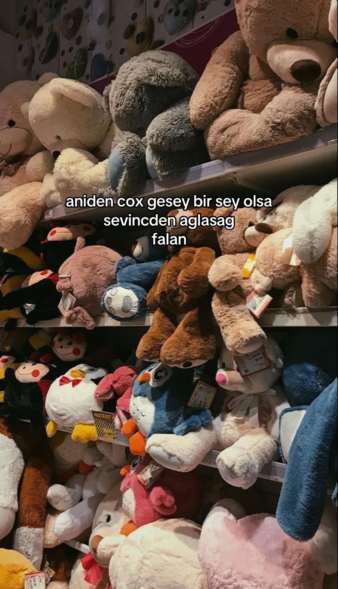 @𝑯.𝒁