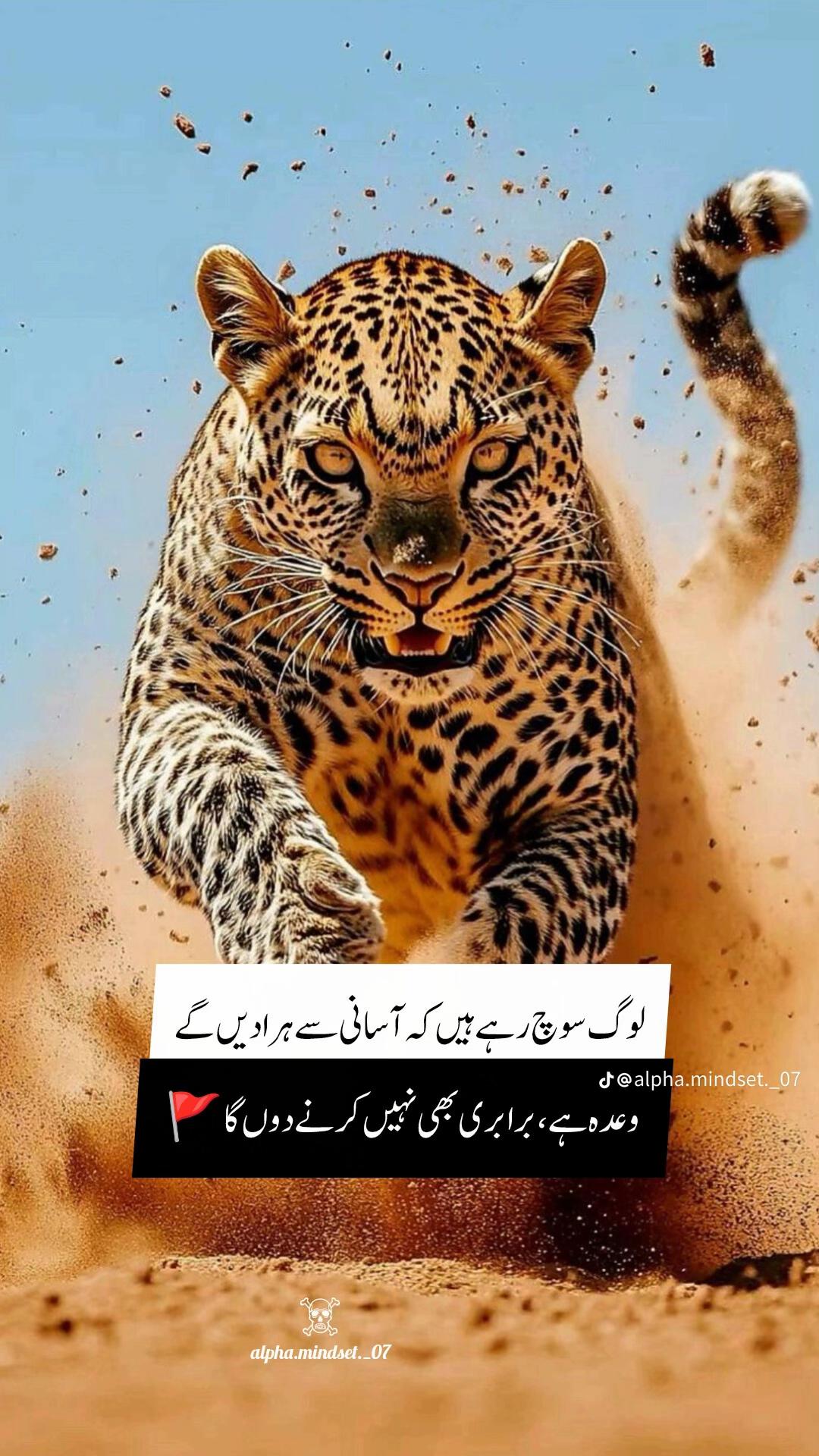 @کاکا مہر عراق آلہ 🤼🙌🏻💯