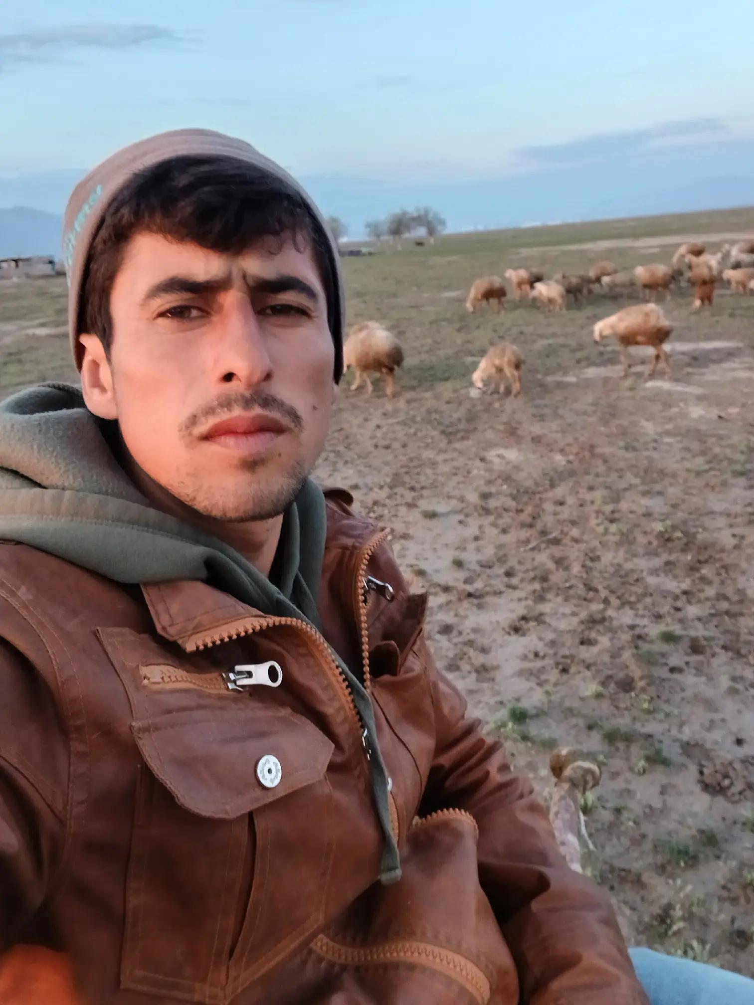 @Mustafa Doğan14667